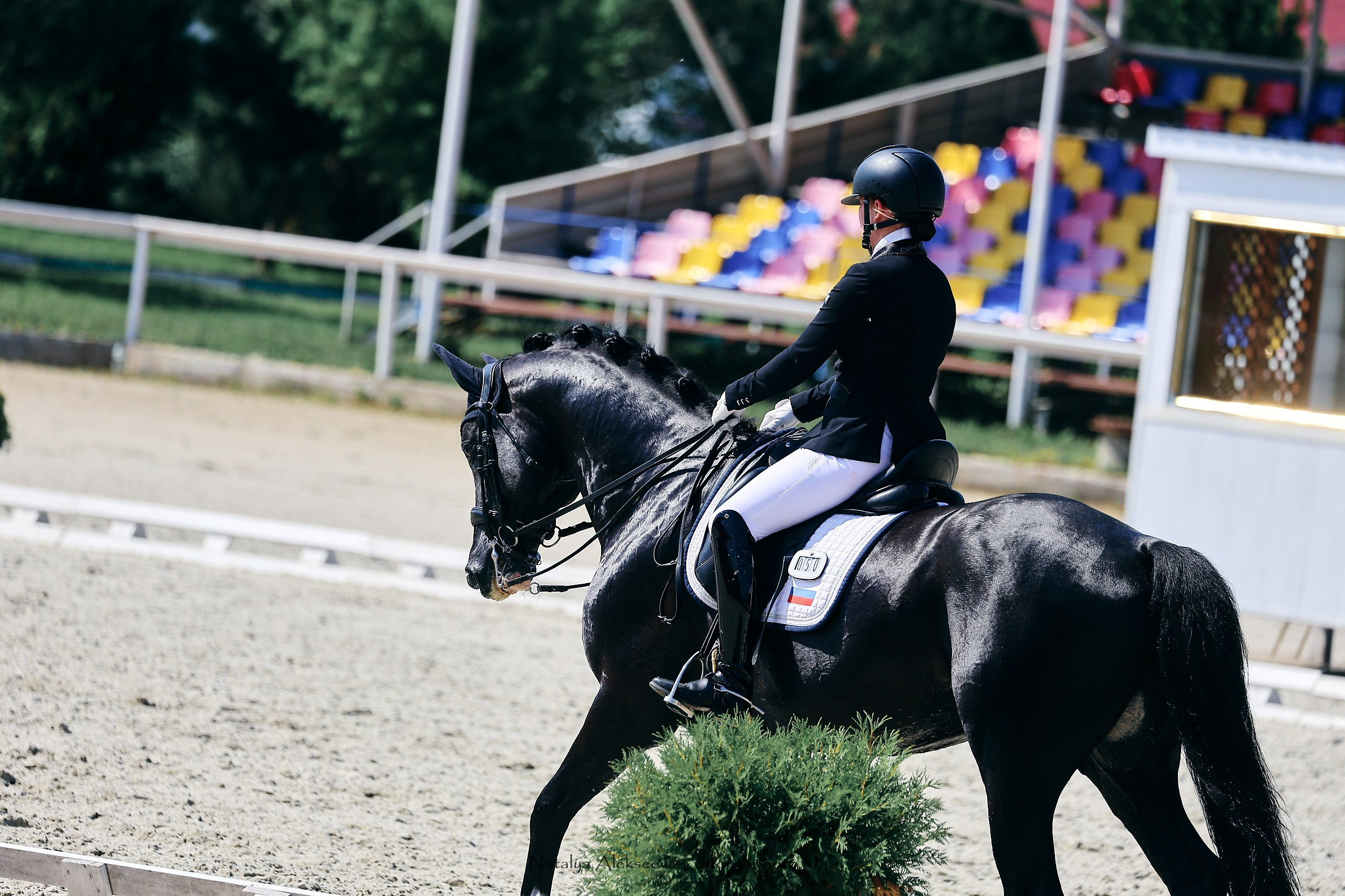 Личный ЧР по выездке, КСК Конаковские конюшни | 08'2023. Репортажный фотограф и ретушер в Москве Наталья Алексеева