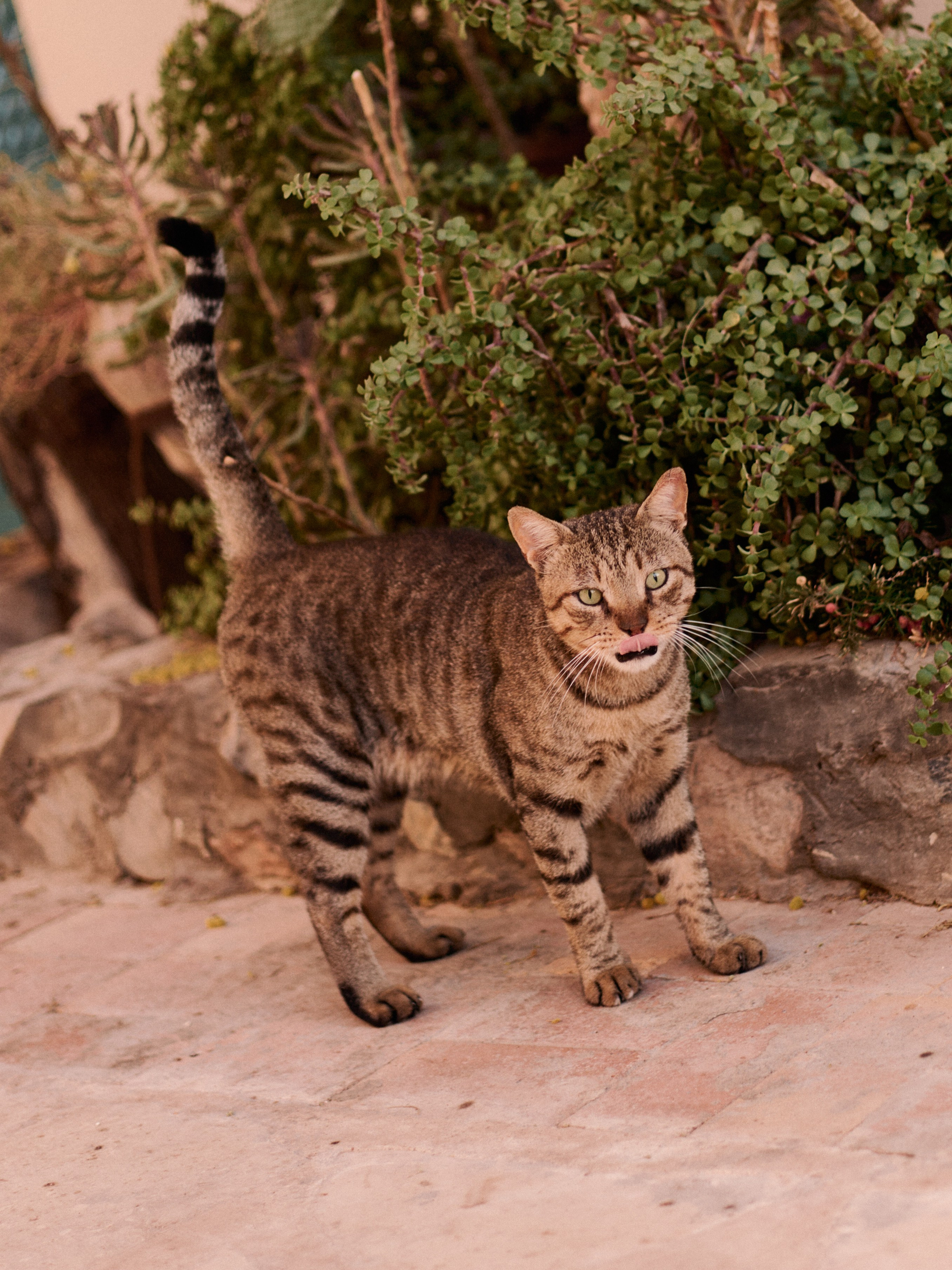 Другое 3. Jorgis Talè — photographer, kind person, teacher of arts and other mag