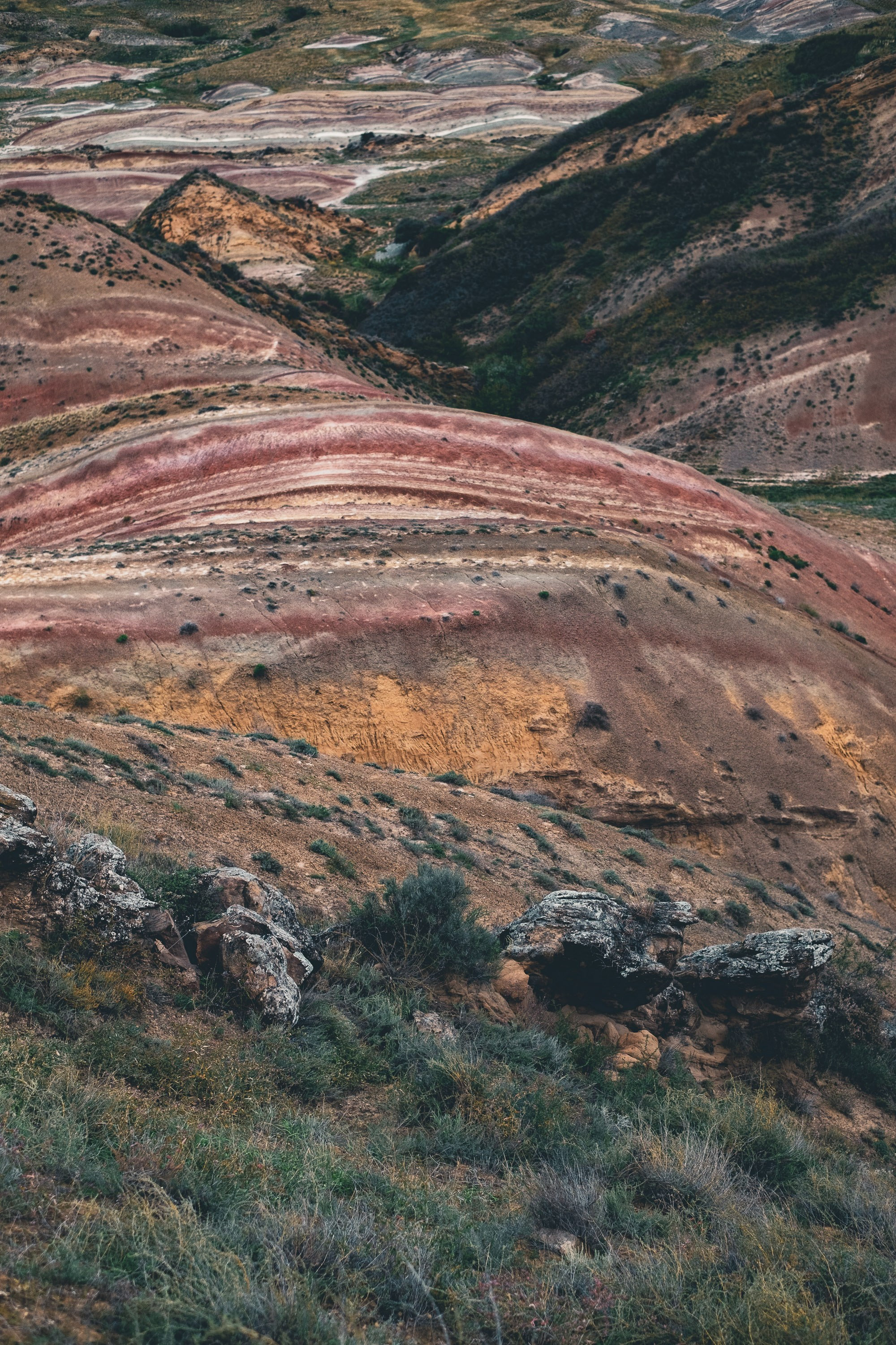 Georgia travel. Photographer in Tbilisi