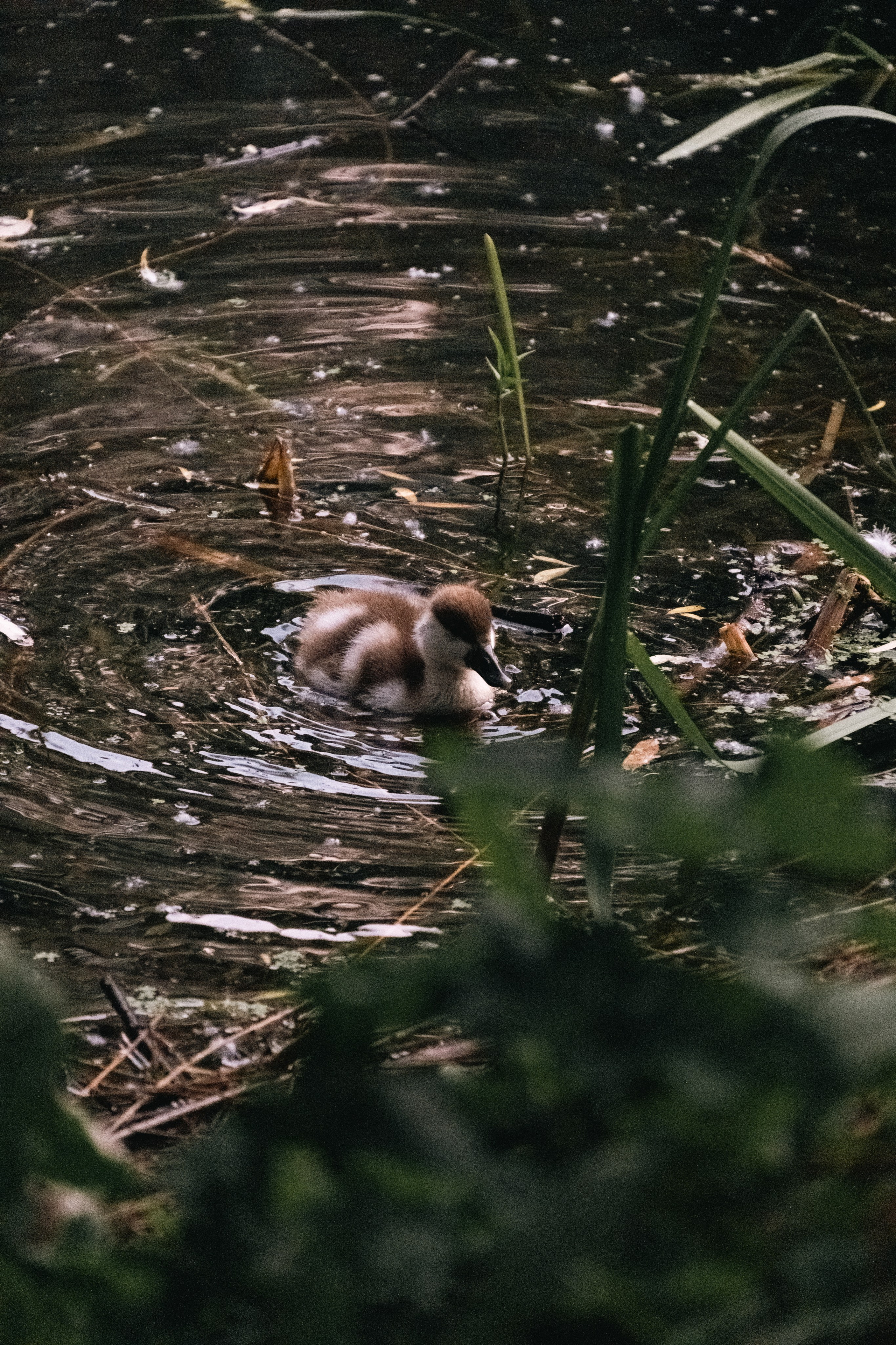 Moscow Selection. M. Neizvestniy — уличная и спортивная фотография