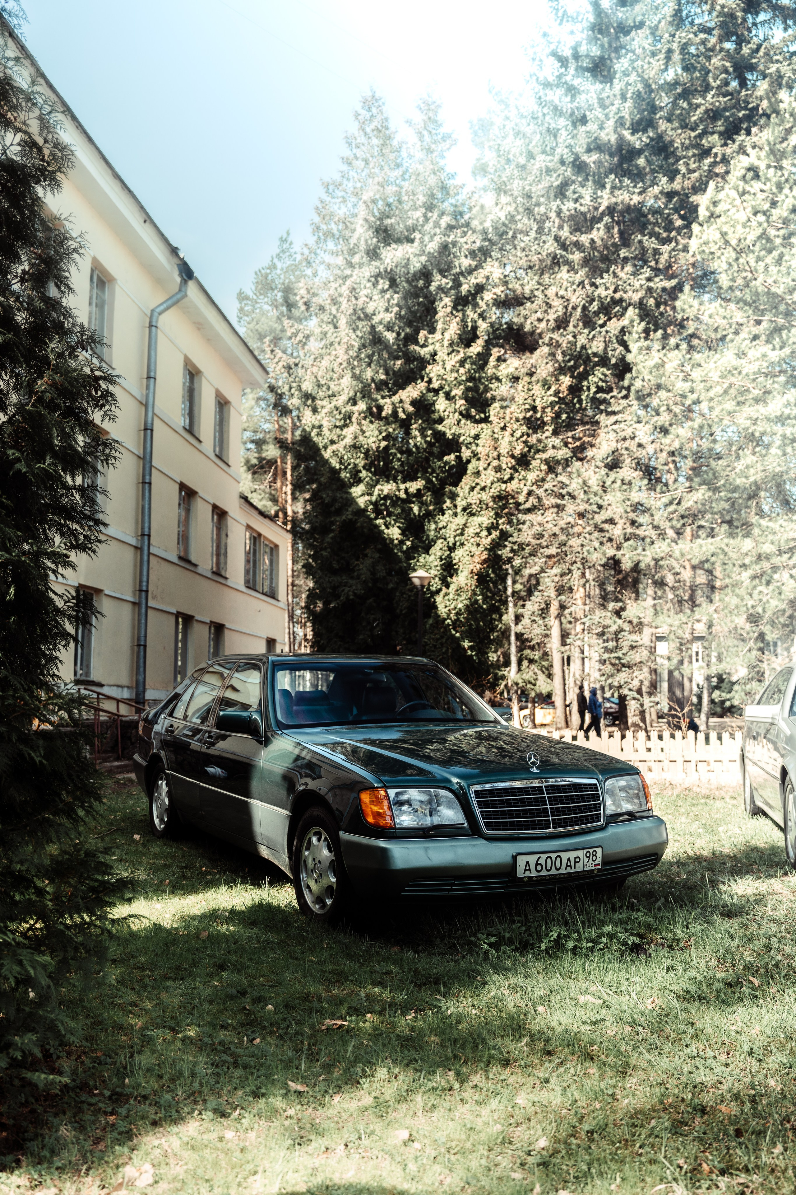BENZ CLASSIC PICNIC. АВТОСПОРТИВНЫЙ ФОТОГРАФ