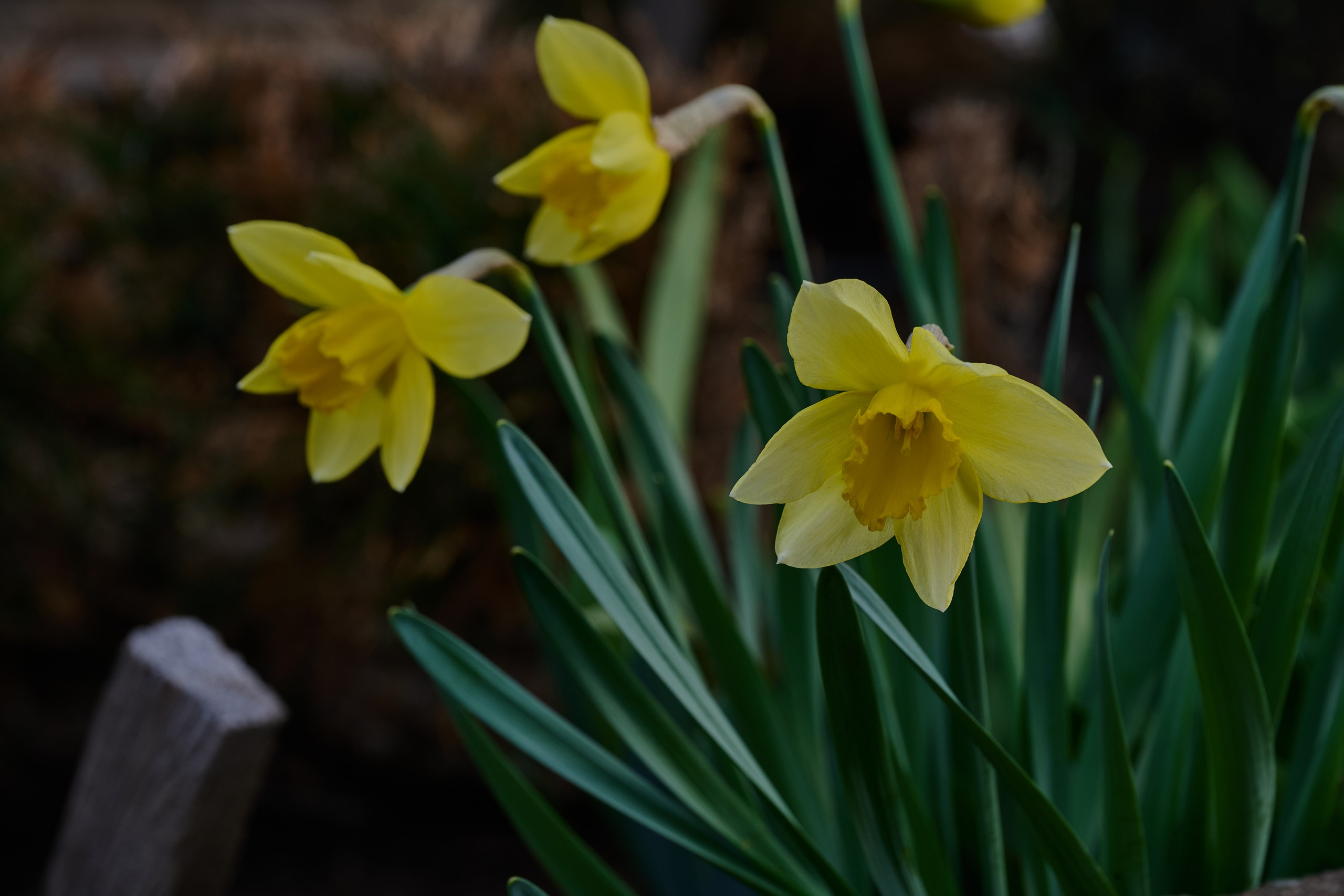 Мелитополь. Фотопроект «Территории»