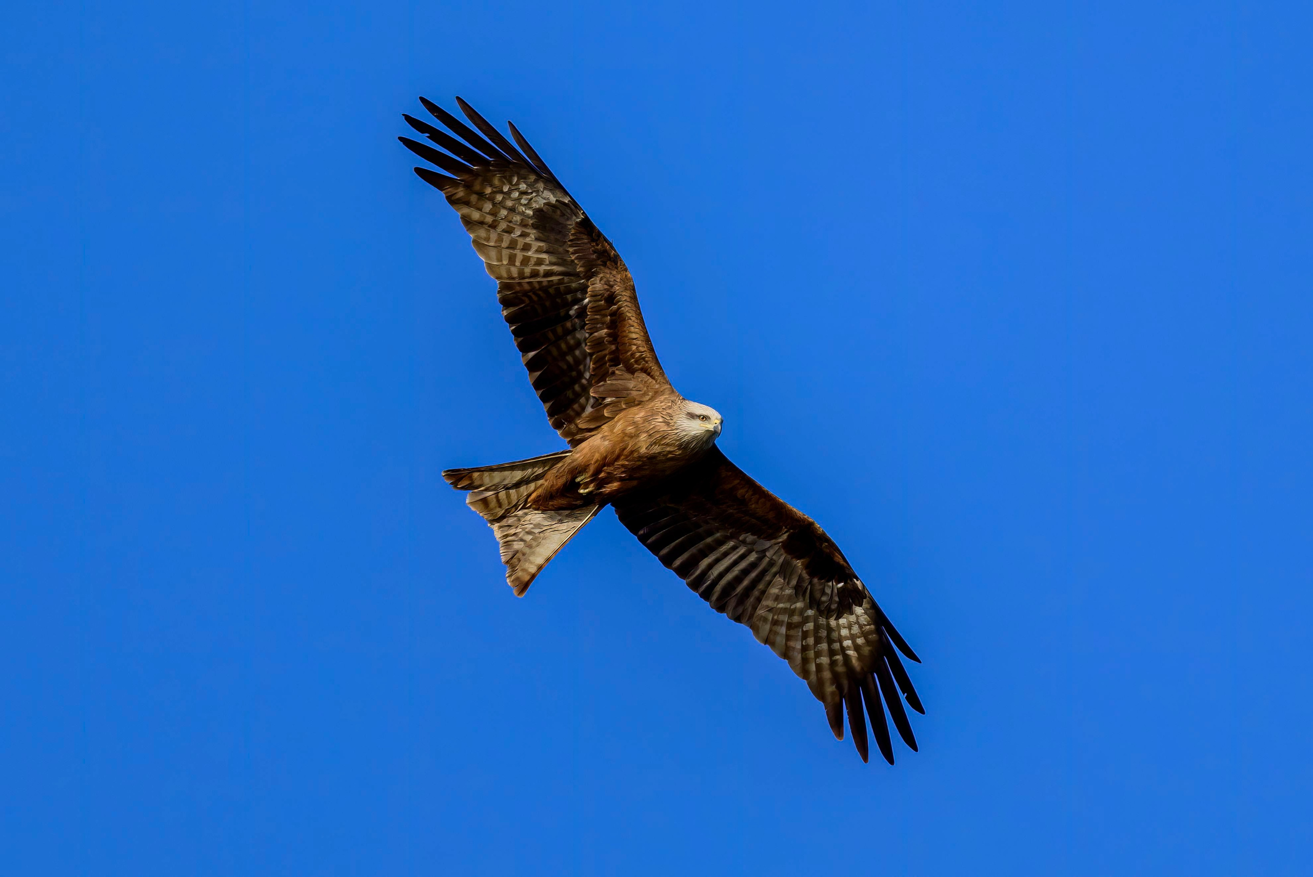 Дмитров. Фотограф Сергей Пупонин