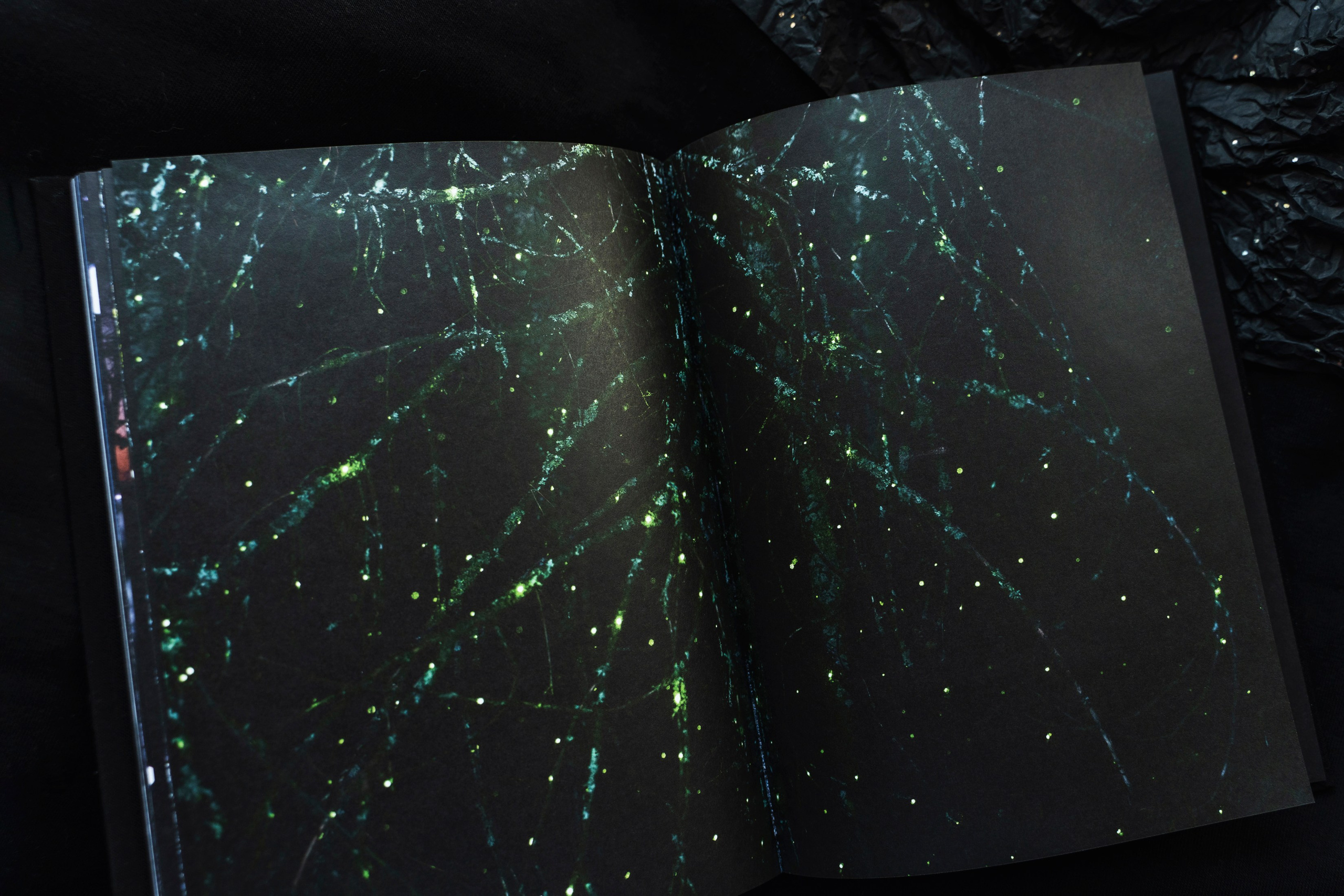 Книга Эос. Элина Гусарова