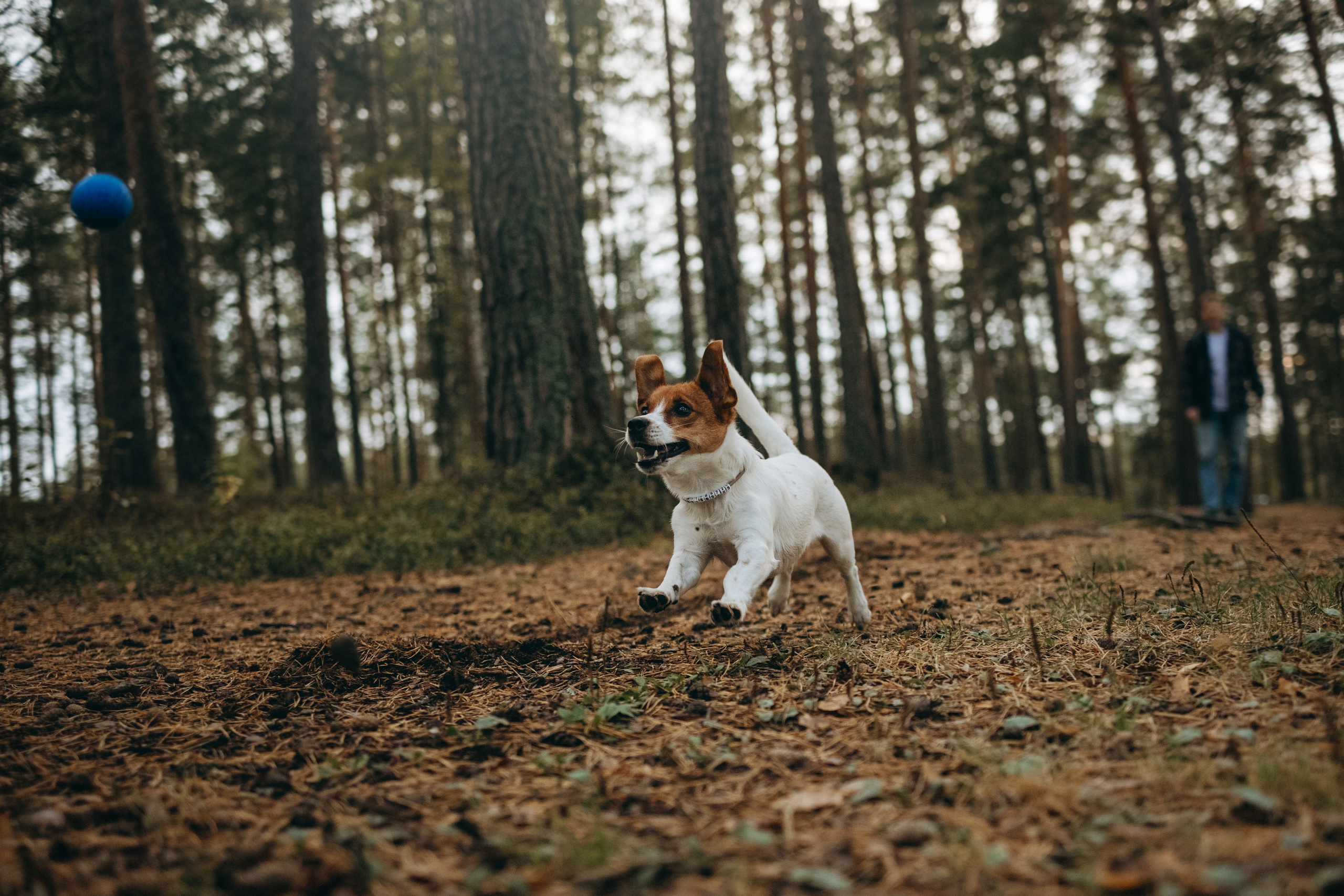 Лея и ее семья. Фотограф — Анималист | Санкт-Петербург