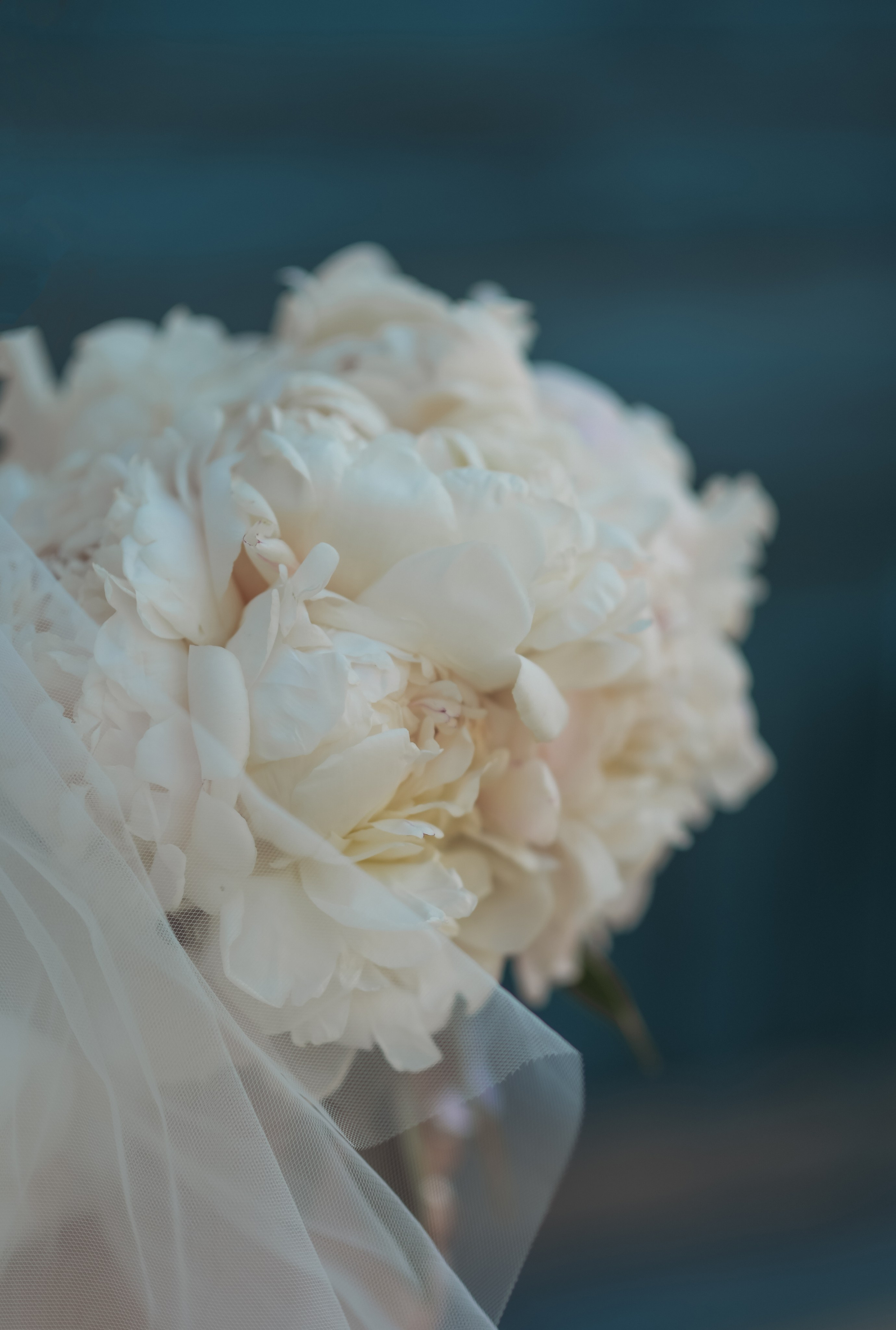 Александра & Кирилл. Семейный фотограф Олеся Батурина Рязань