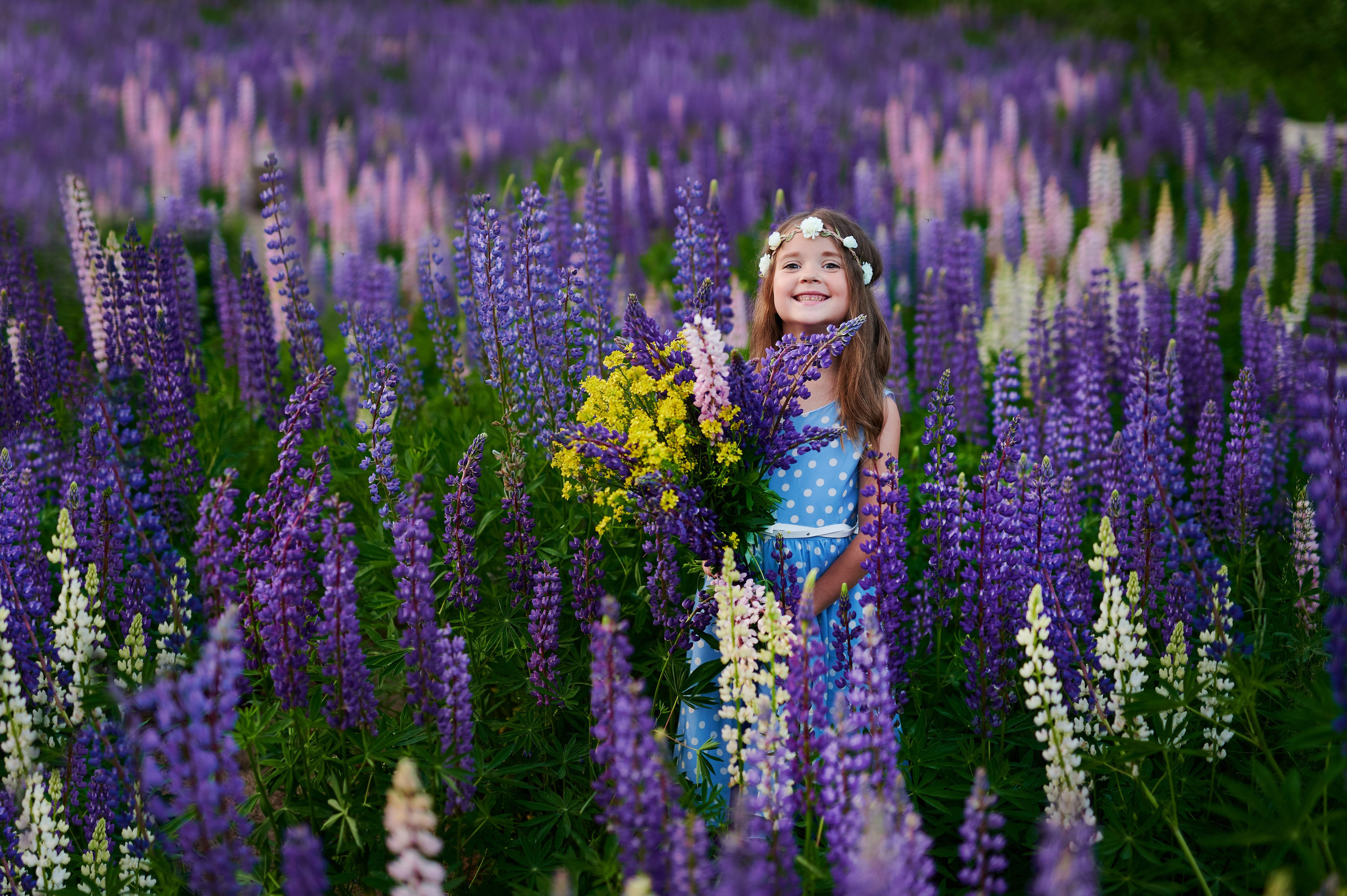 Счастье в люпинах. Портретный, семейный и свадебный фотограф в Санкт-Петербурге и в Пушкине Ширяев Денис