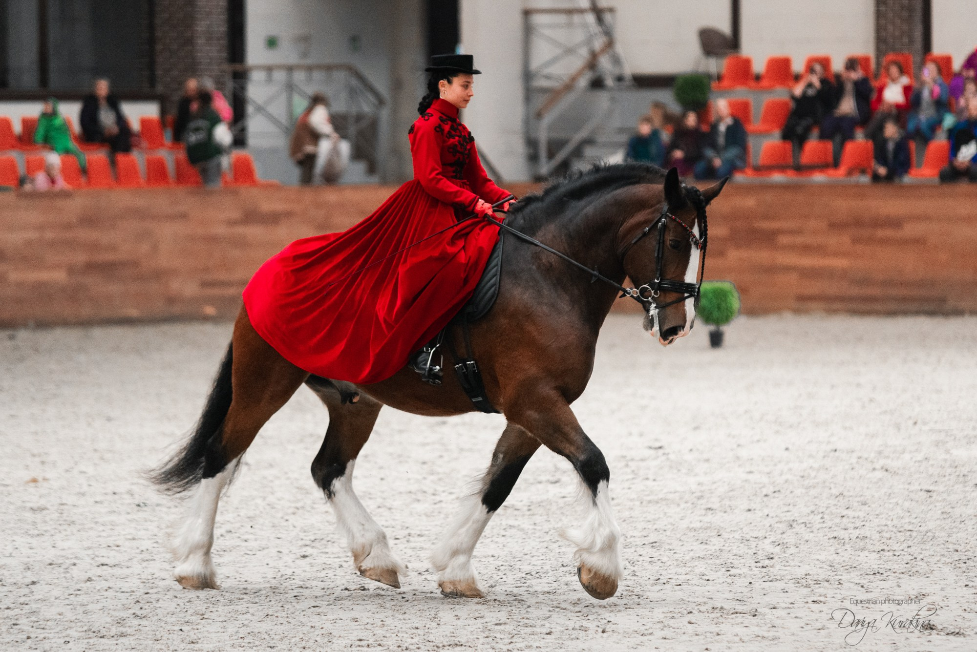 8-я международная выставка Конная Россия. Конный фотограф Куракина Дарья • Фотосессии с лошадьми
