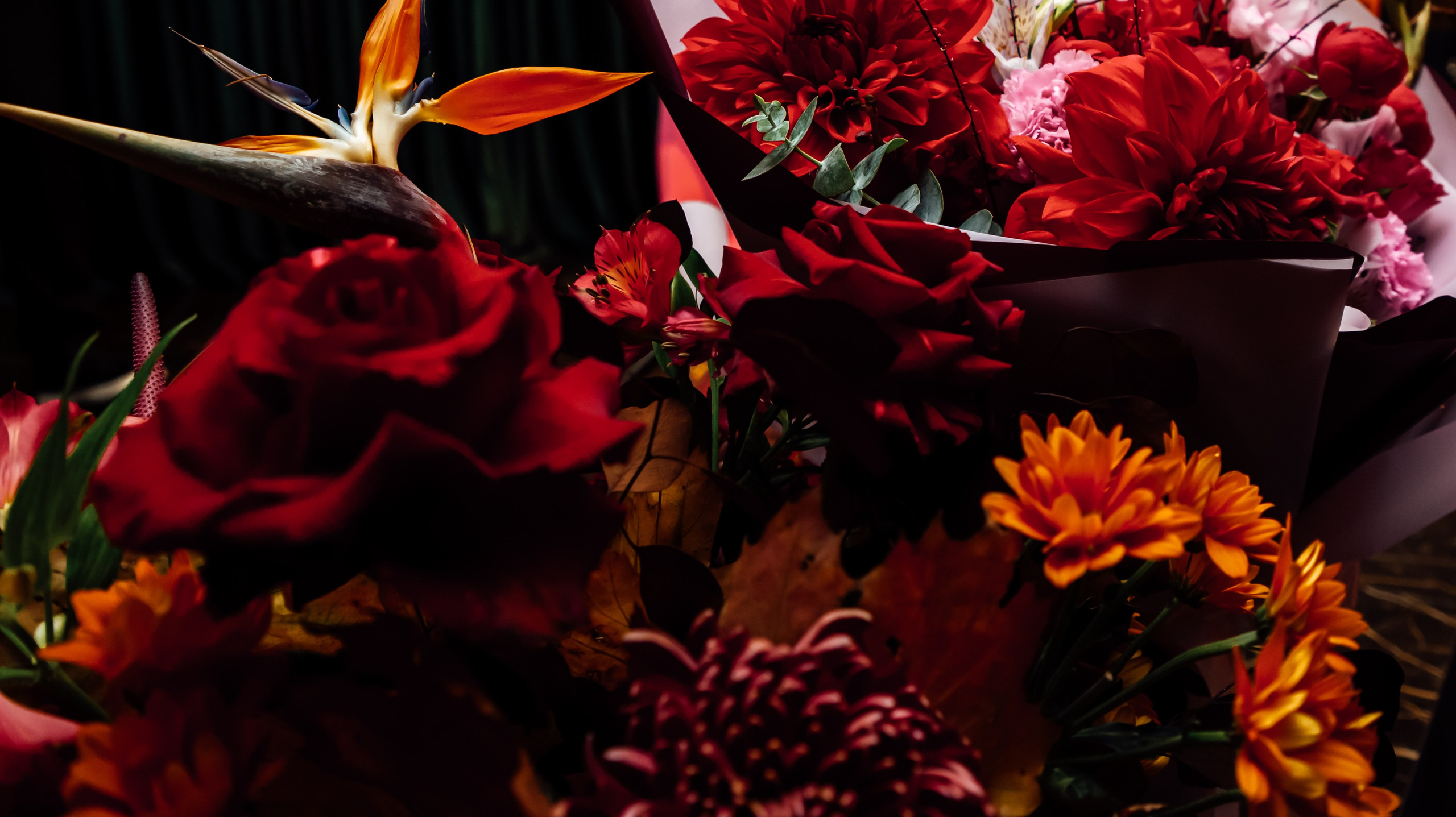 Юбилей. Https://malovafoto.ru