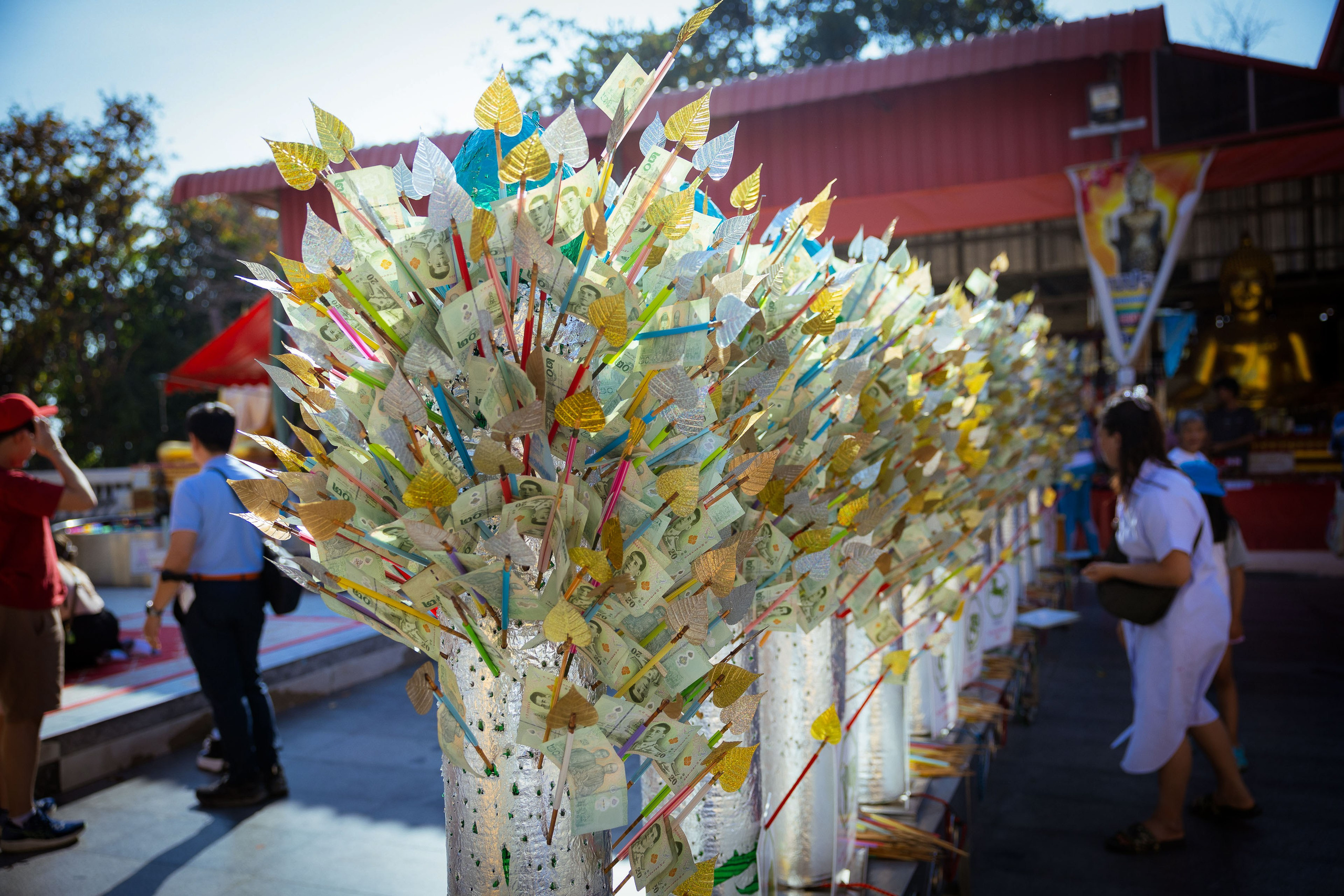 Таиланд (зима 2025). Фотограф Виноградов Константин