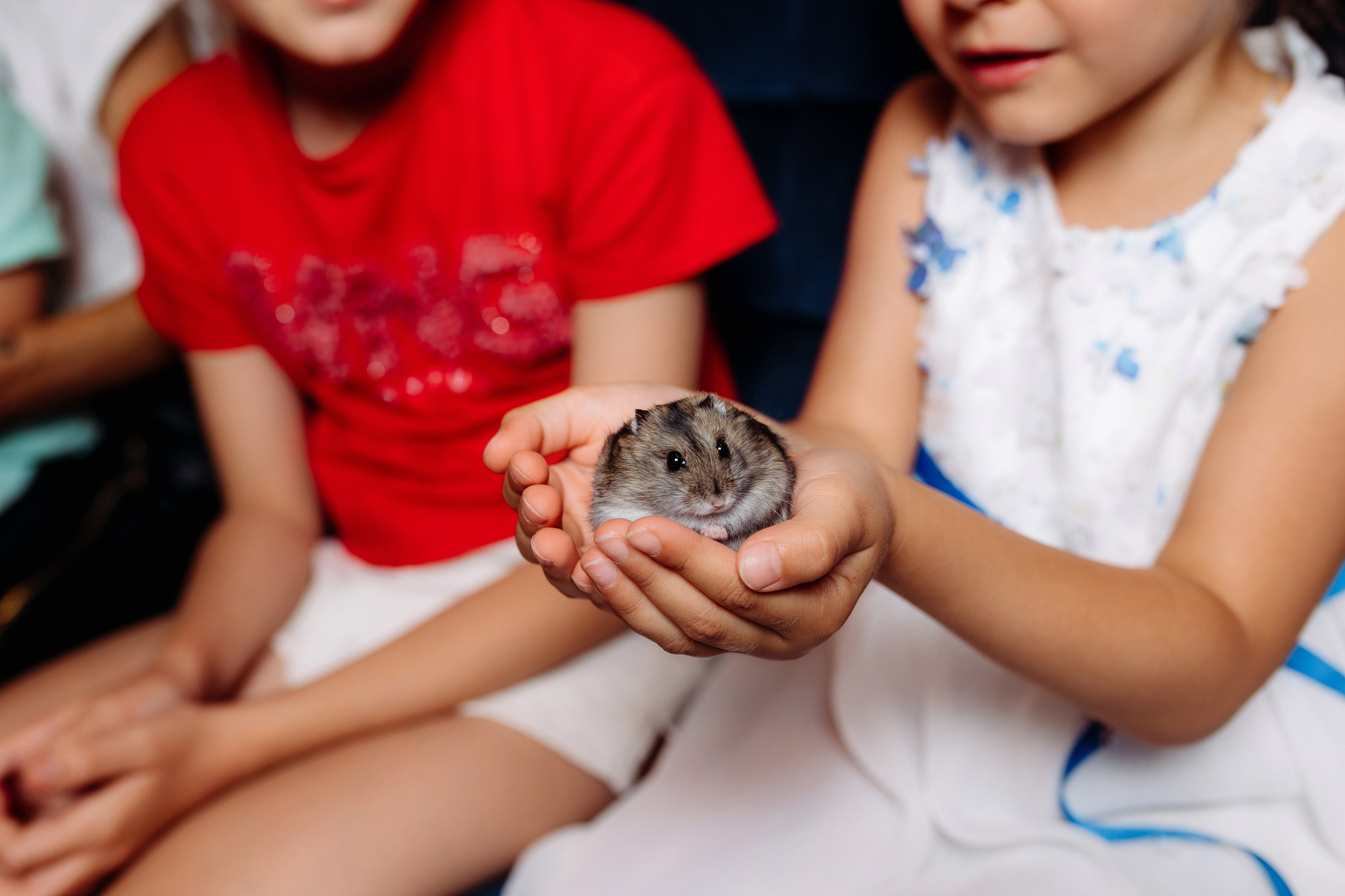 Дни Рождения. Фотограф в Санкт-Петербурге Кирюшенков Андрей