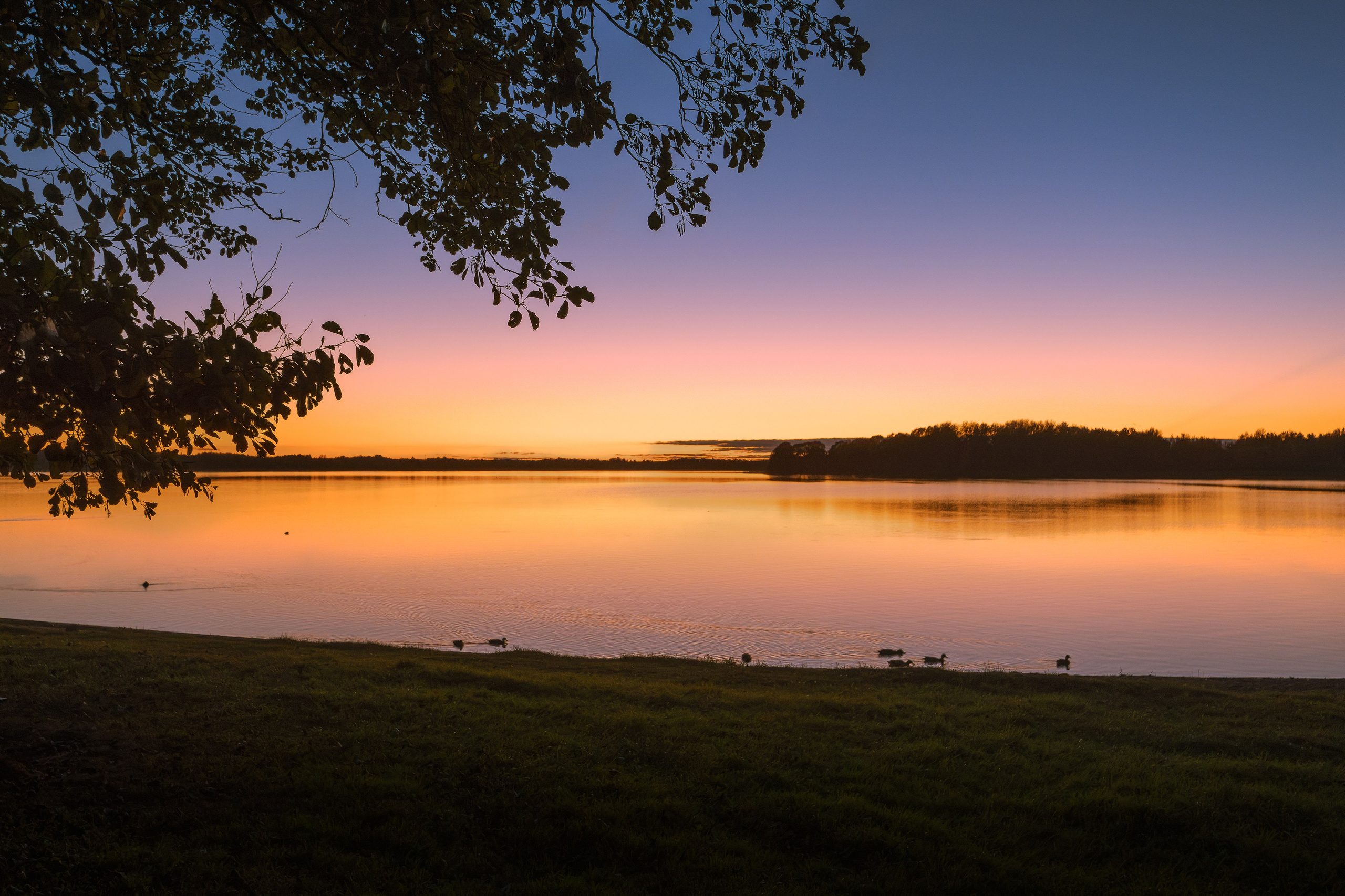 Голубые озера, Псковская область. Октябрь 2024. Фотограф Никифоров-Гордеев Сергей. Москва и МО
