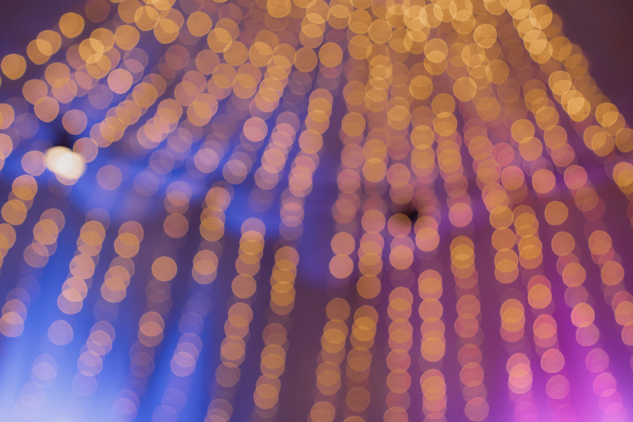 Свадьба во Владивостоке на площадке геокупол Эдвингрупп. Фотограф во Владивостоке Антон Блохин