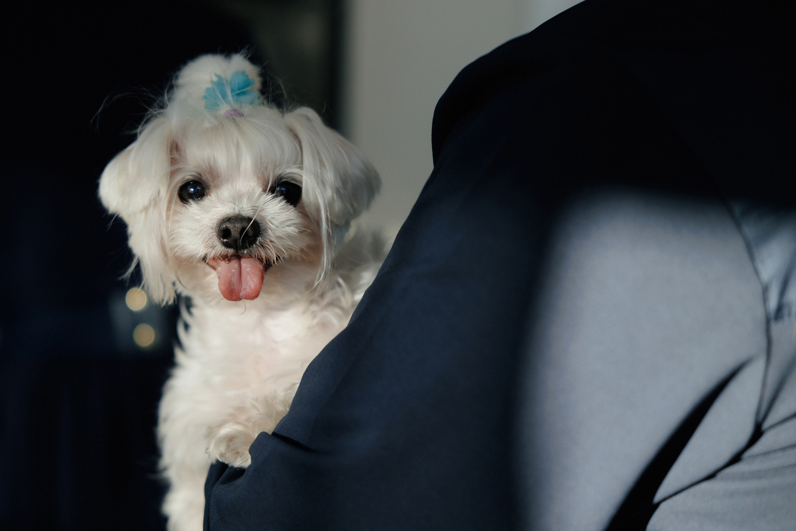 СЮРПРИЗ ДЛЯ ИМЕНИННИКА. Wedding and family photographer in Vladivostok Anton Blokhin