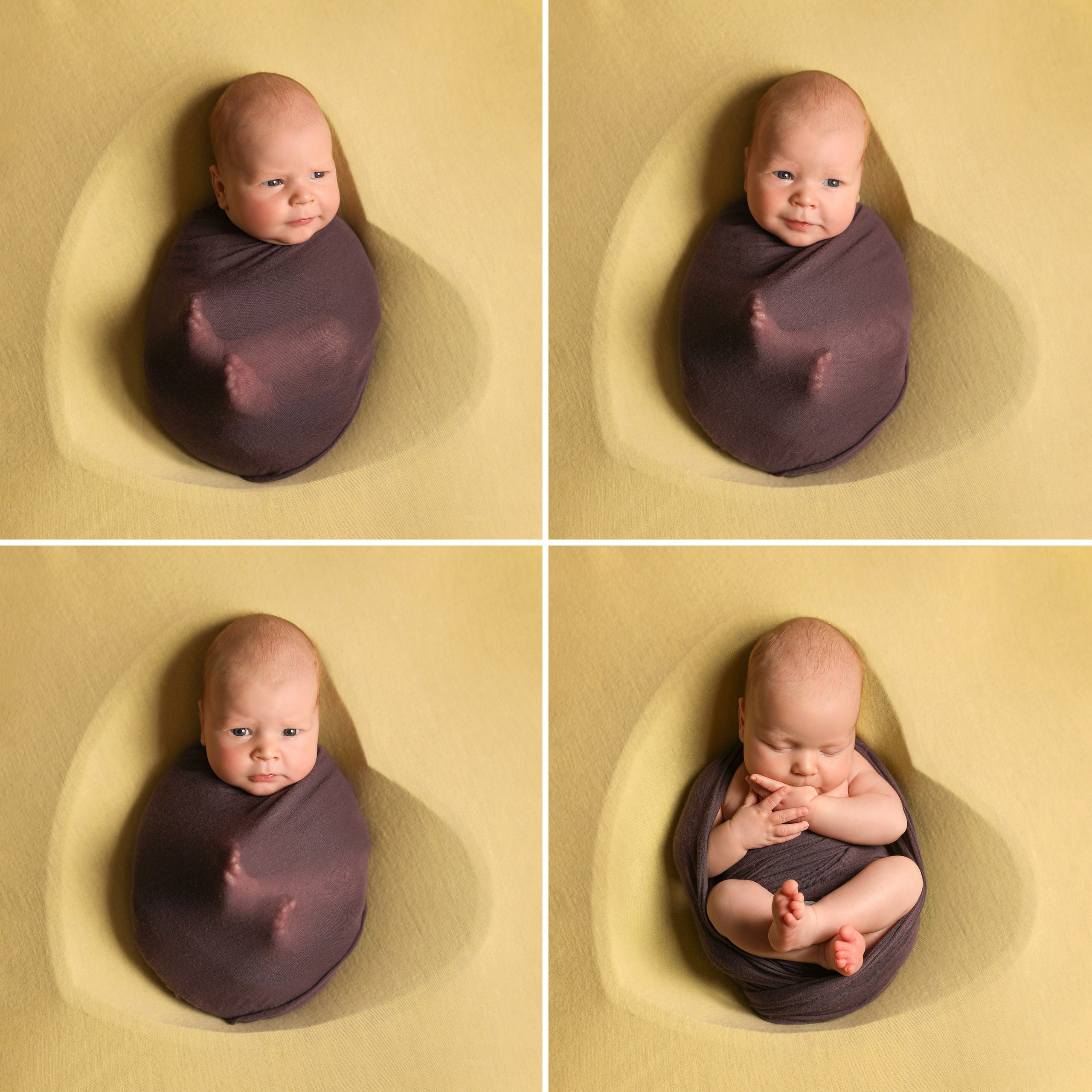 фотосессии новорожденных великий новгород