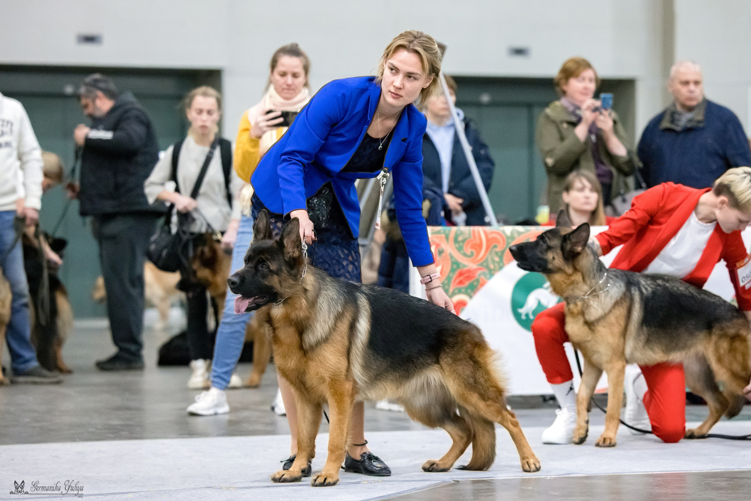 ЕВРАЗИЯ 18-19.11.2023. Фотограф-анималист Юлия Германика