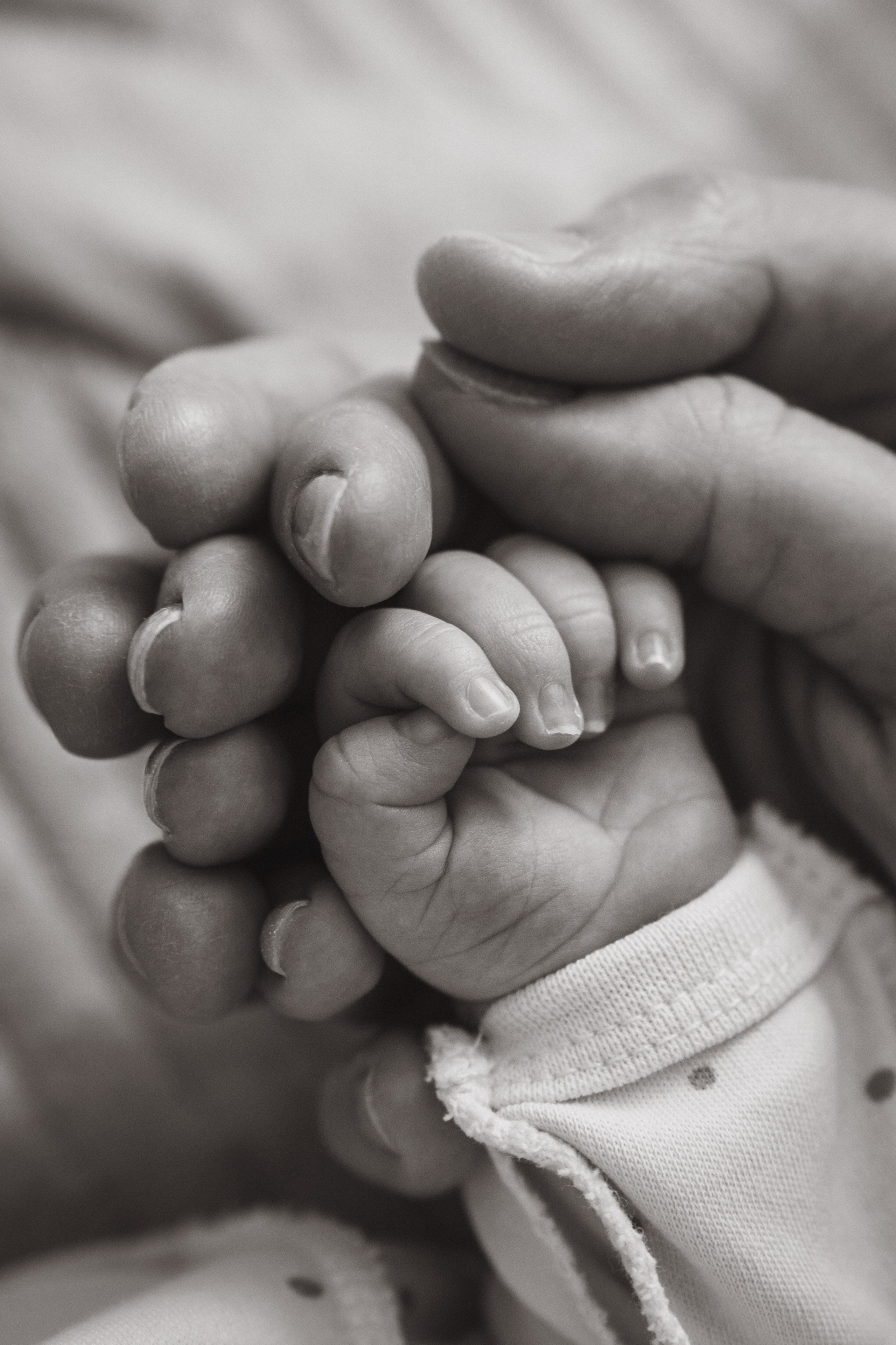 Александр, Мария и Павлуша