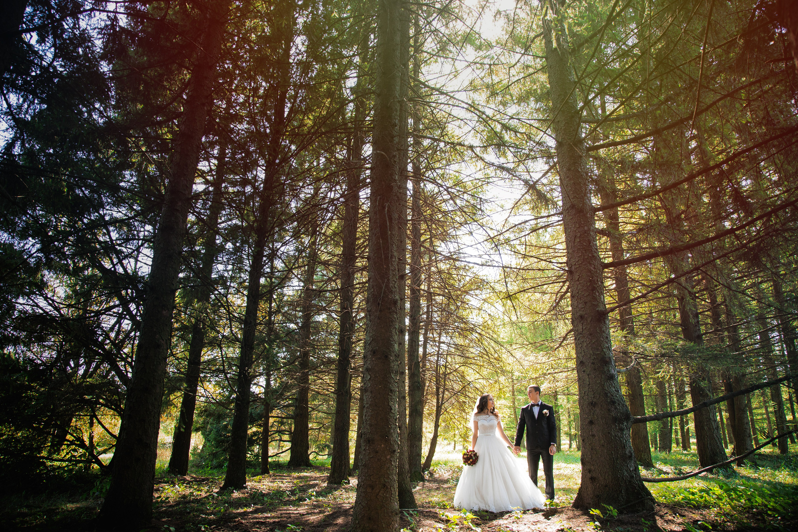 Игорь Тихонов. Фотограф Игорь Тихонов