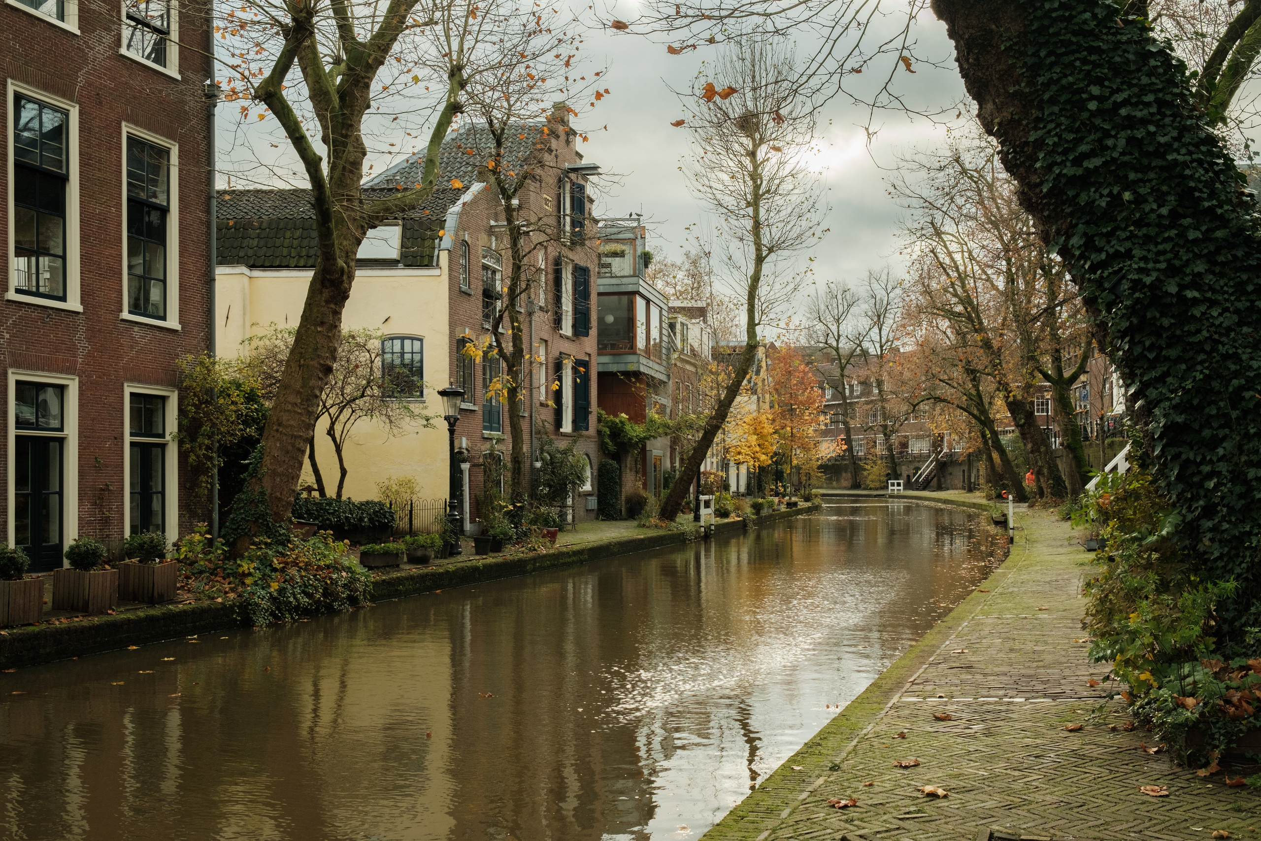 Фотографии Нидерландов | Филипп Линзин. Репортажный и портретный фотограф в Санкт-Петербурге Филипп Линзин