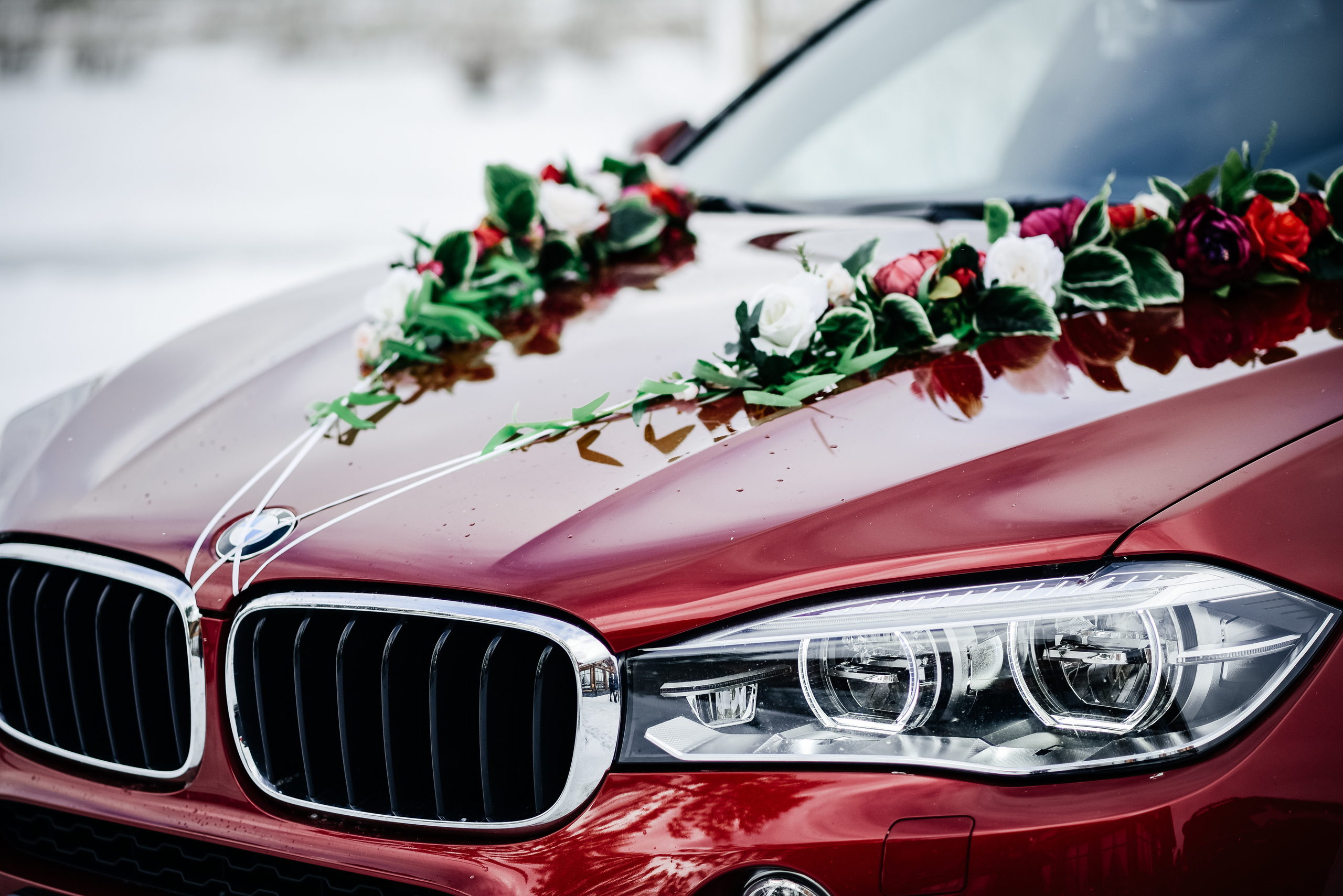 Александра и Егор. Свадебная  съемка на Алтае