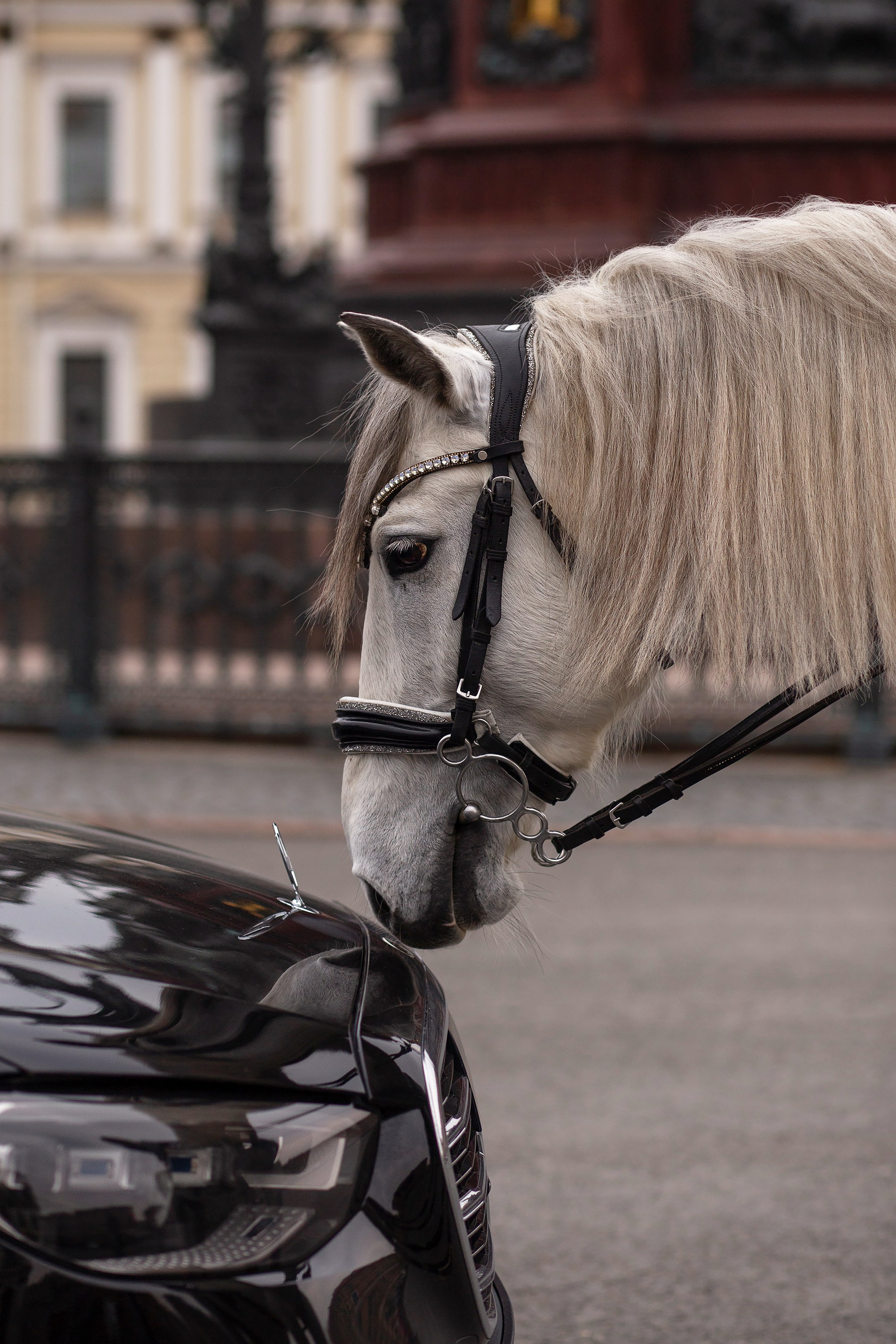 Фотосессия с машиной в СПб