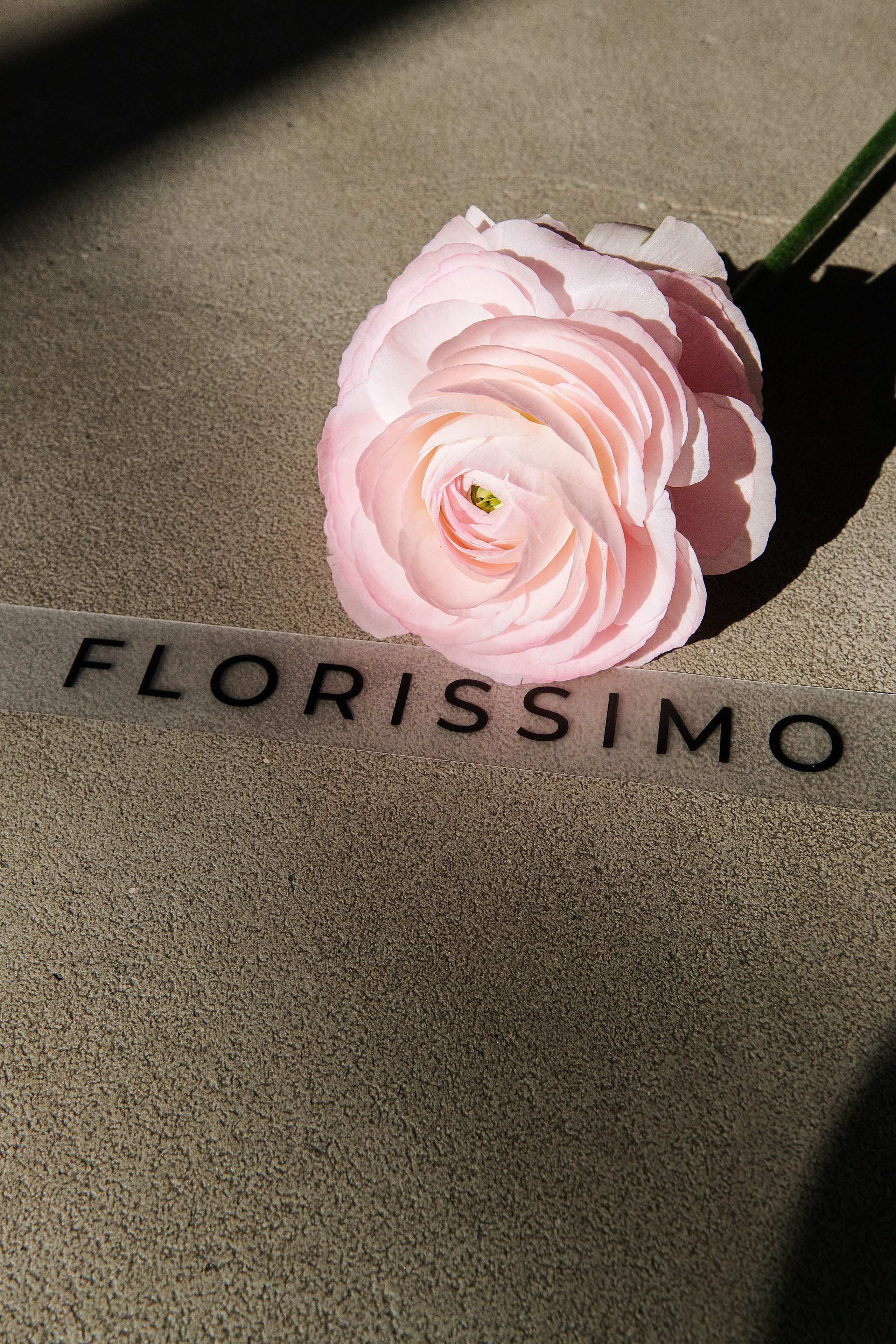 Anastasia. Wedding inspiration. Свадебный фотограф Ростов-на-Дону Виолетта veslers.ph