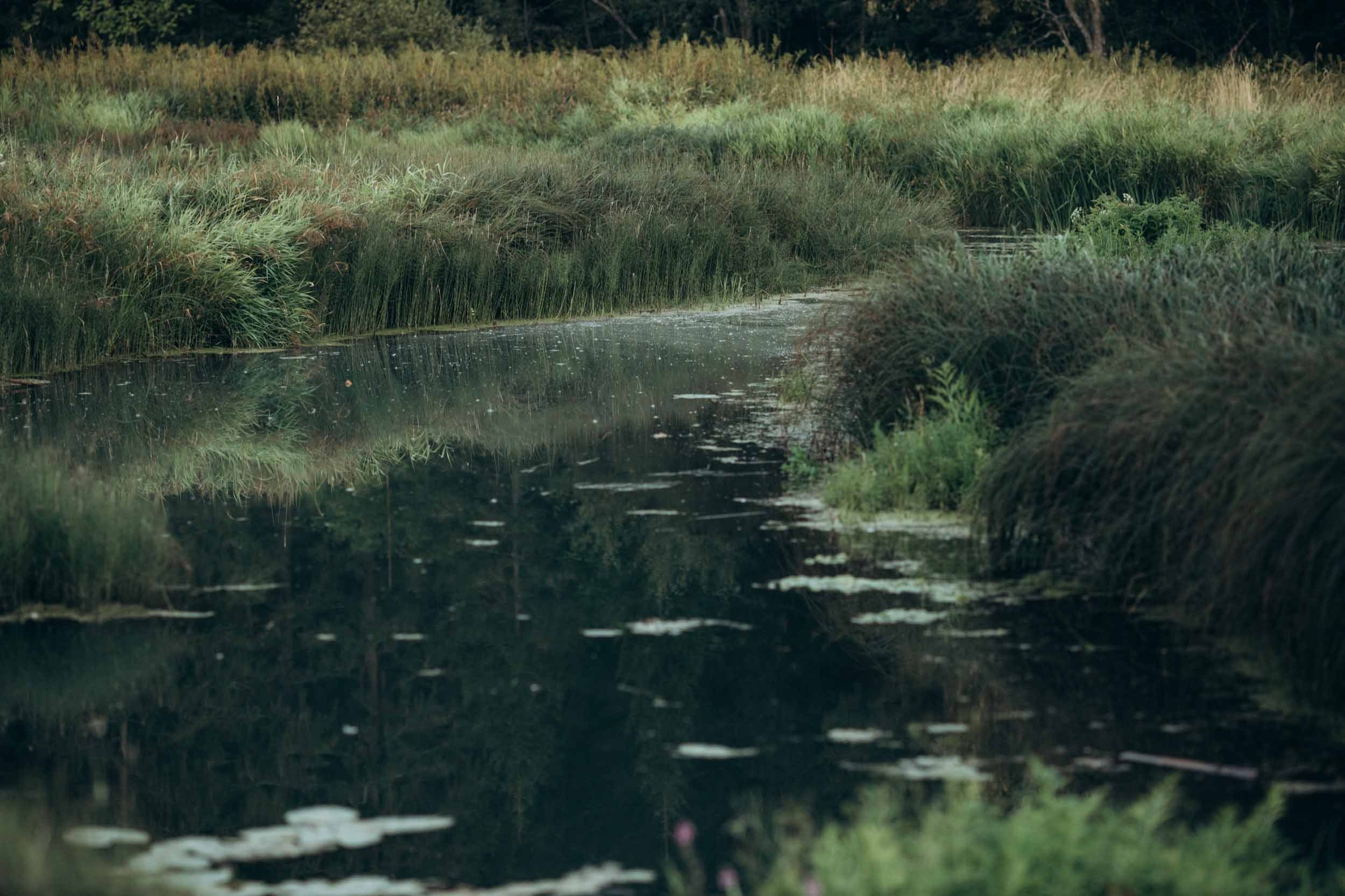 Природные пейзажи. Наталия Клевинскас портретный фотограф в Костроме