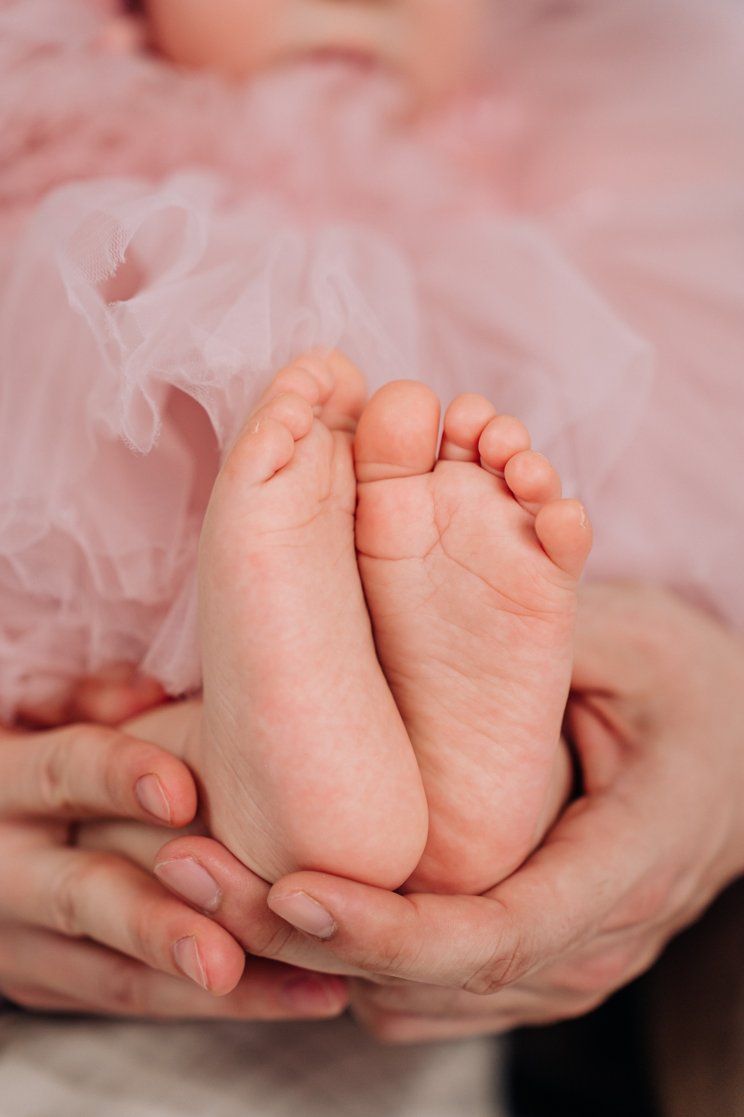 1 годик. «Лама» Детская фотостудия Уфа