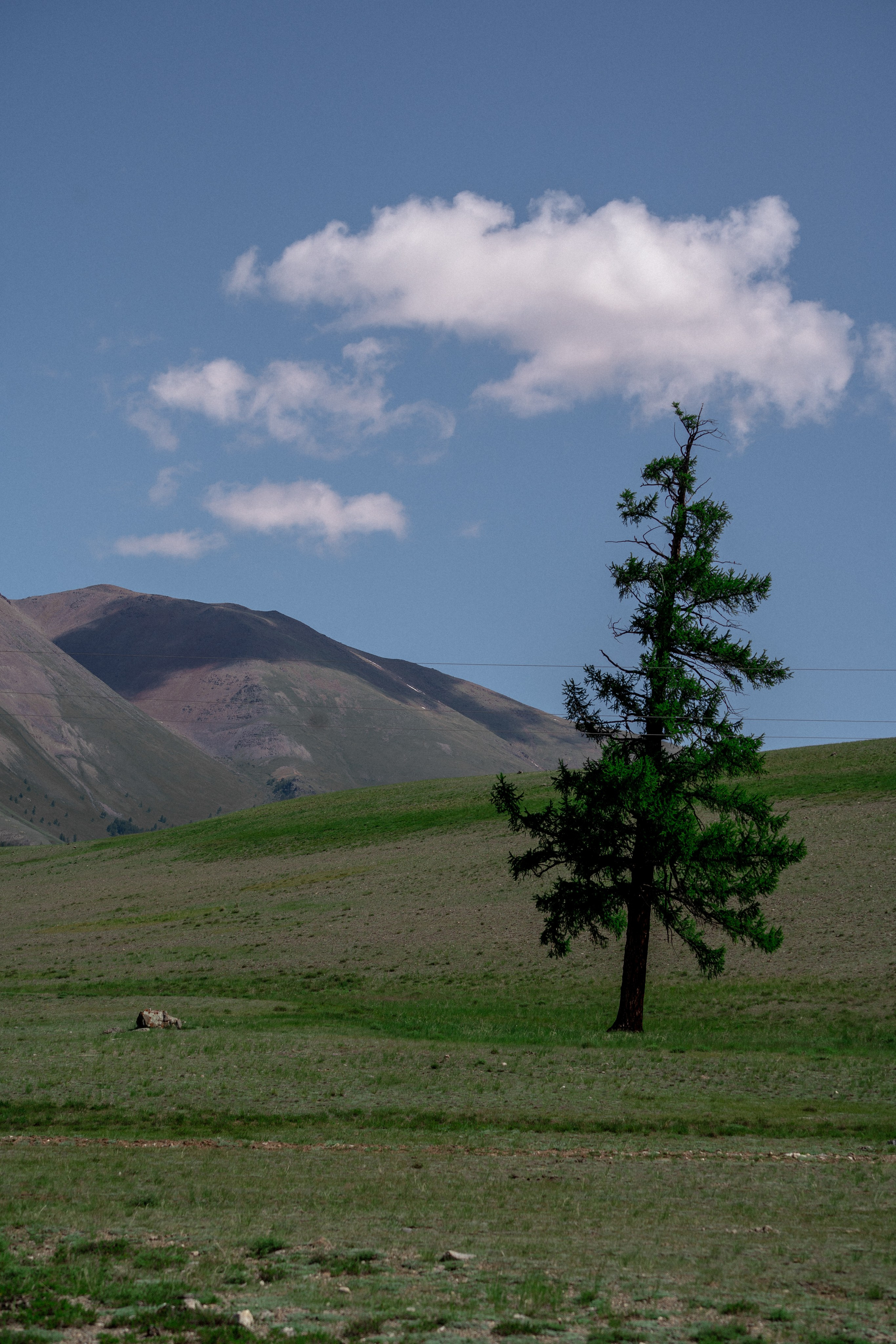 Алтай. Оператор и Фотограф в Санкт-Петербурге и Москве