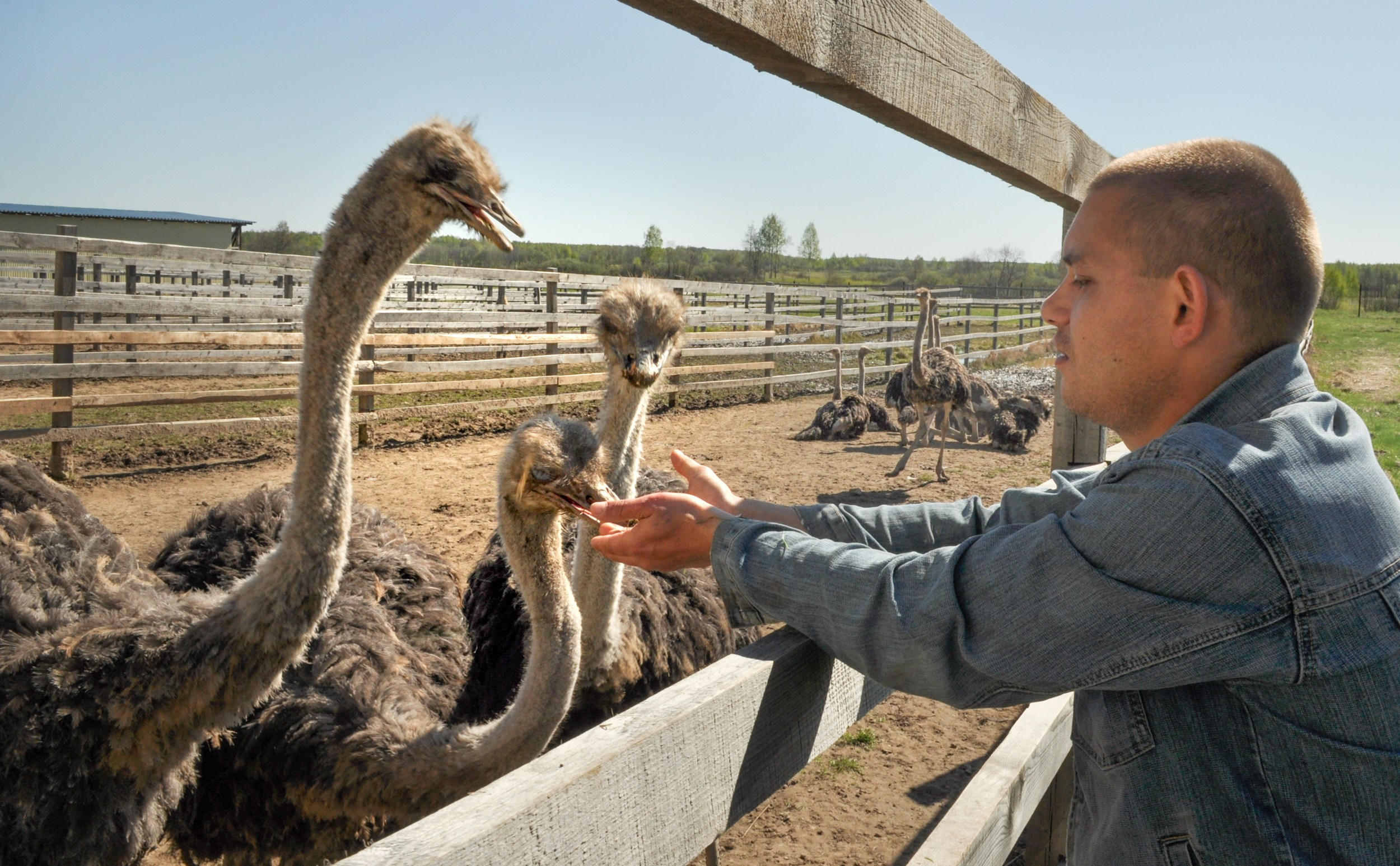 Производственные организации. Фотограф Юлия Близнецова