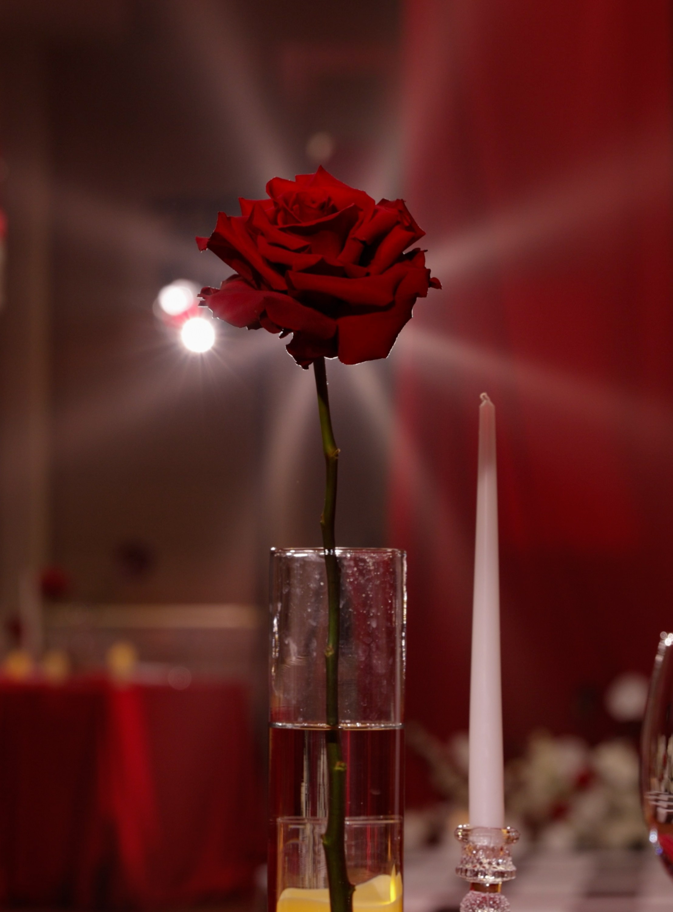 Дмитрий и Яна 24.05.25. Видеографы K-Creation