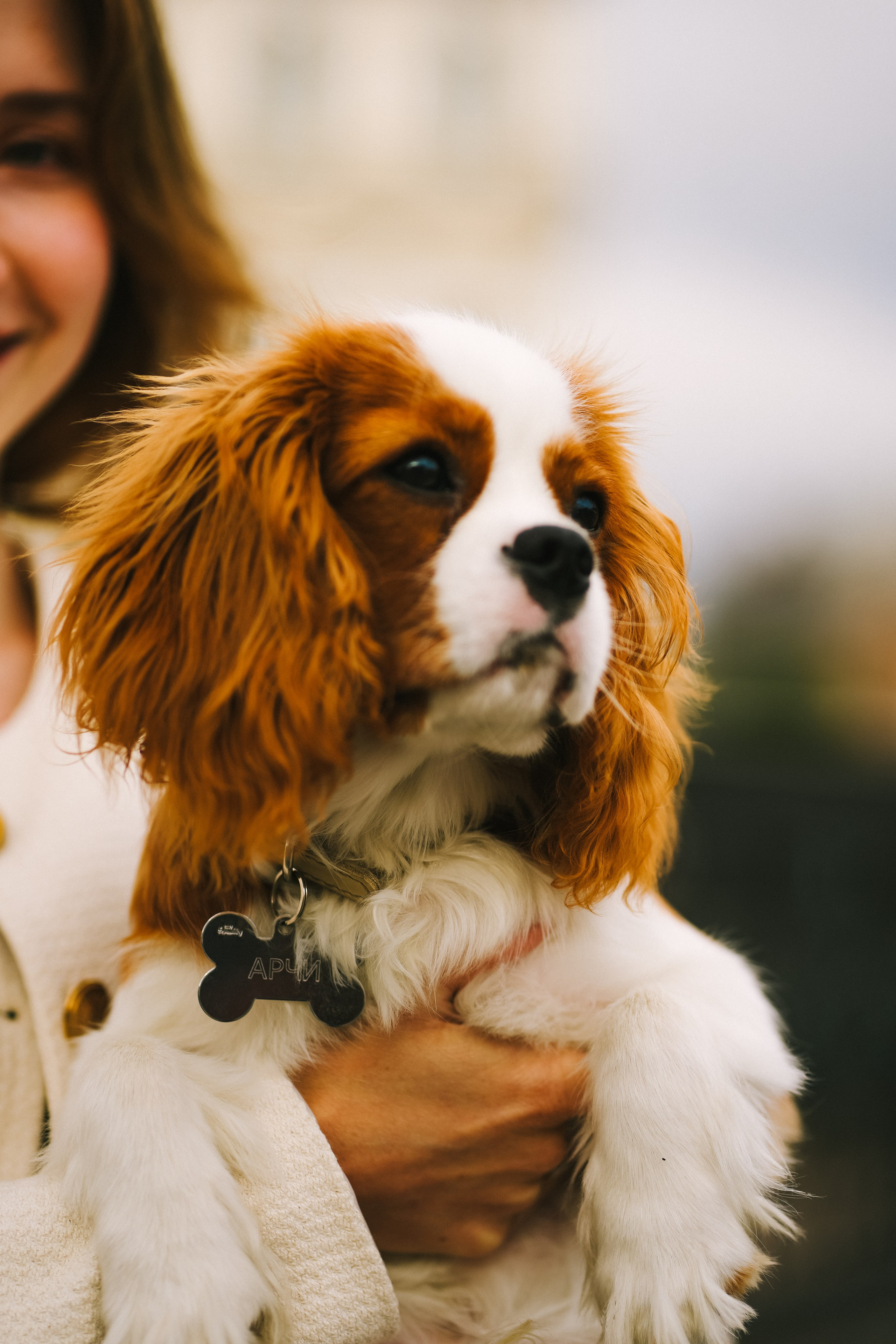 Аня и Влад. Фотограф г. Санкт-Петербург Александра Катанакова