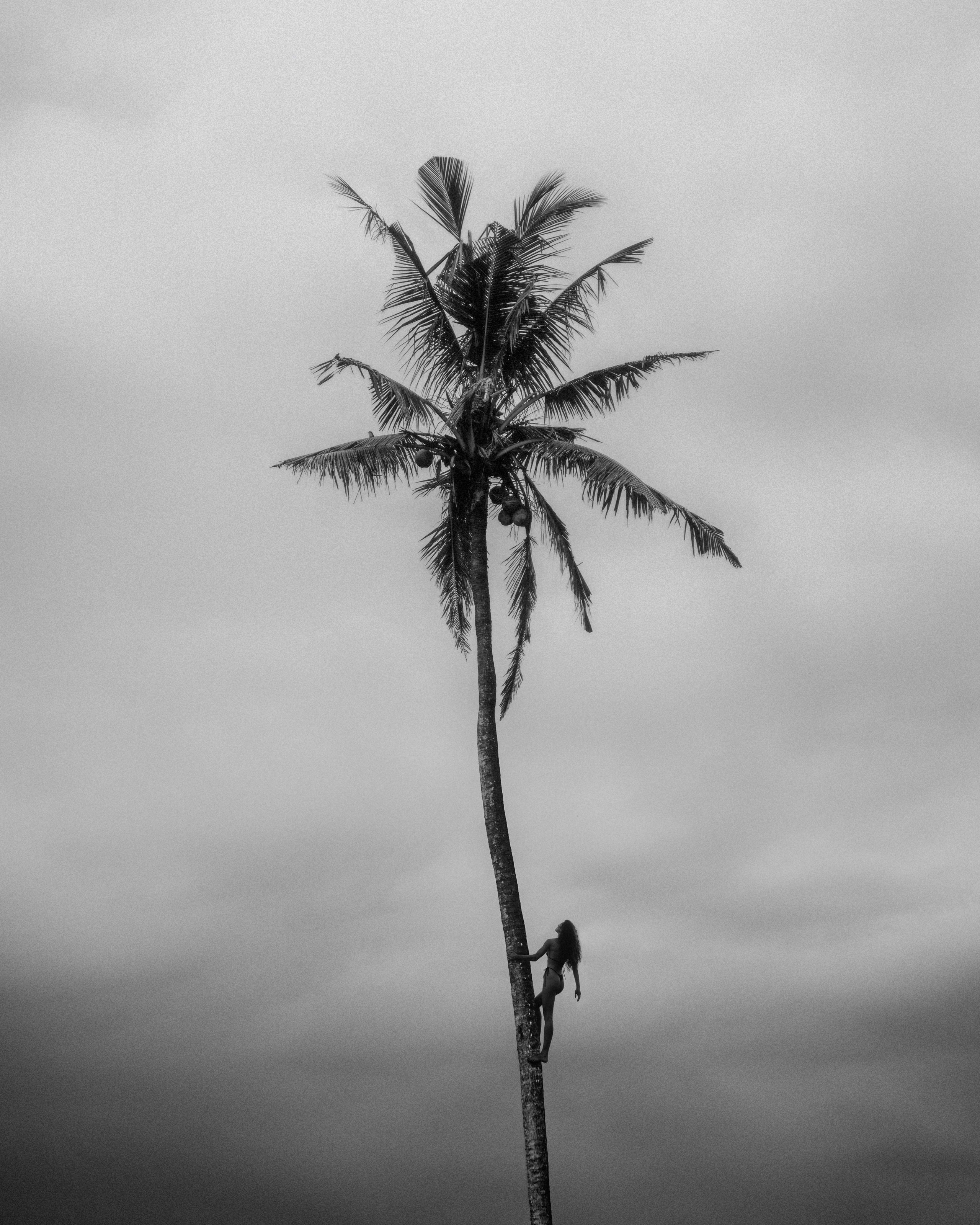 Портфолио. Фотограф Веремеев Александр