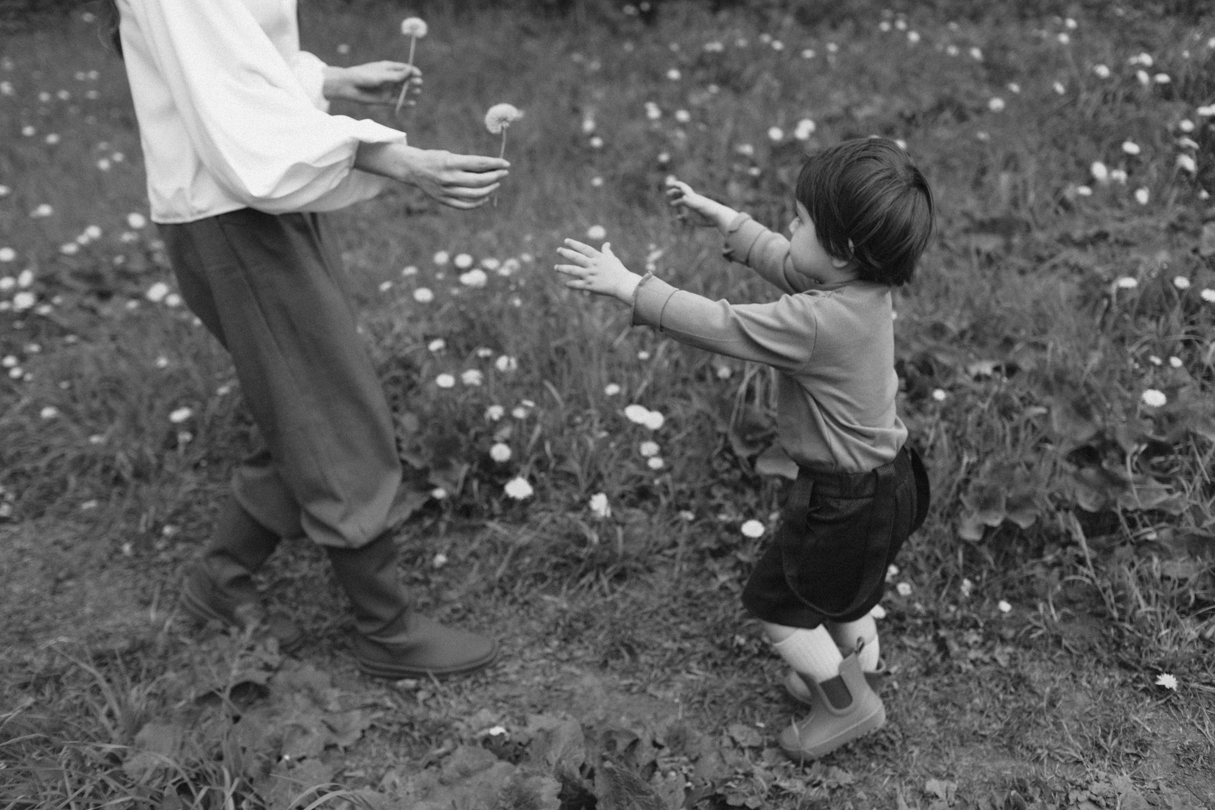 Самолётики. Семейный фотограф в Москве Алевтина Носова