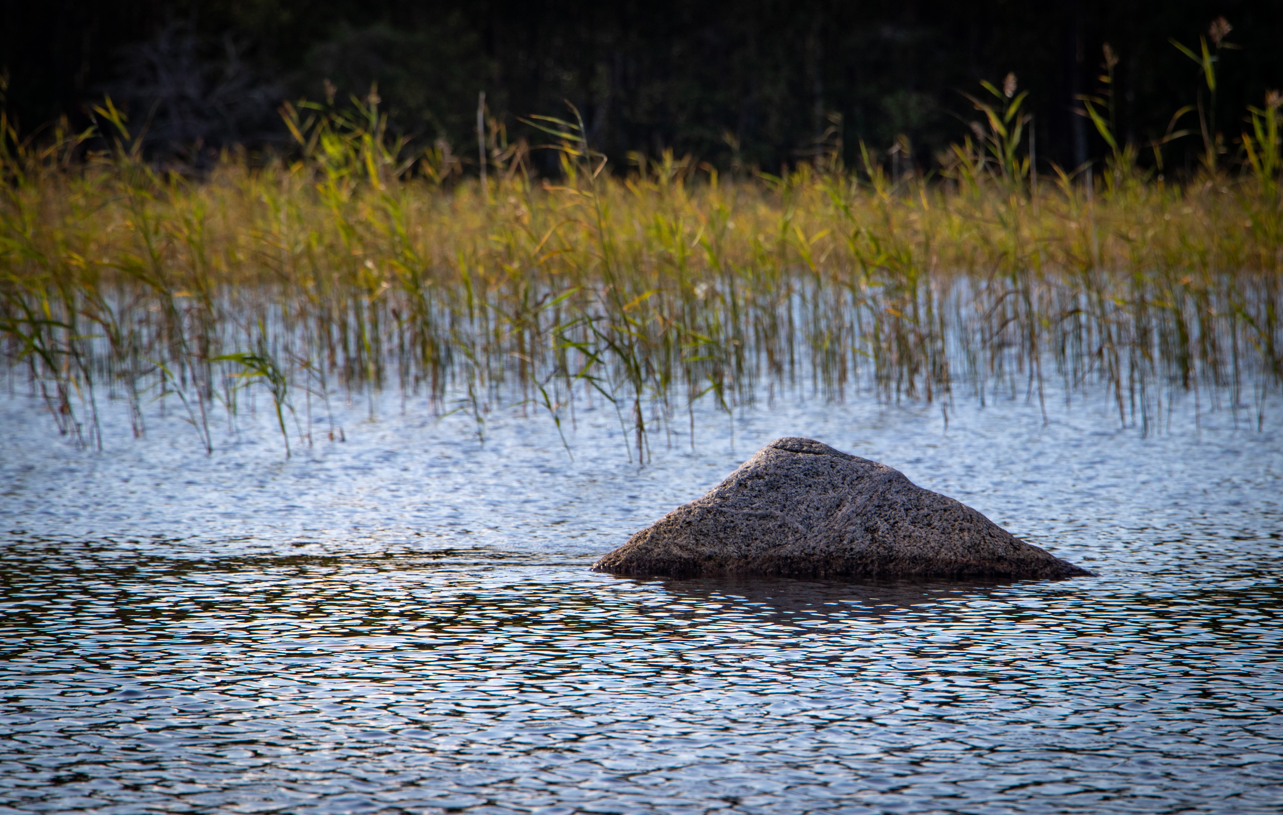 Пейзаж. Leclerc-studio