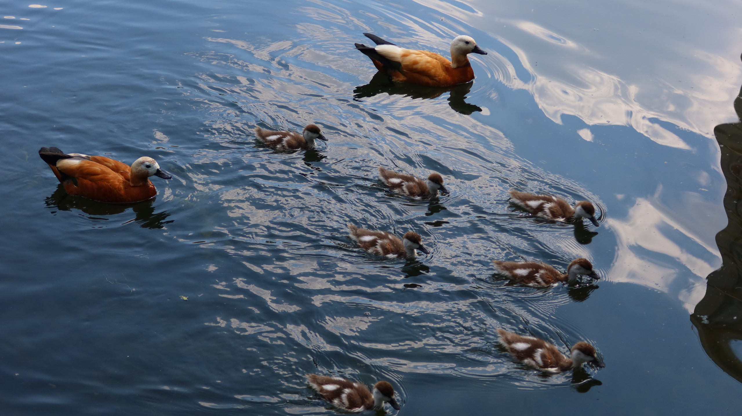 Антроповский сквер. Улица, люди, жизнь…