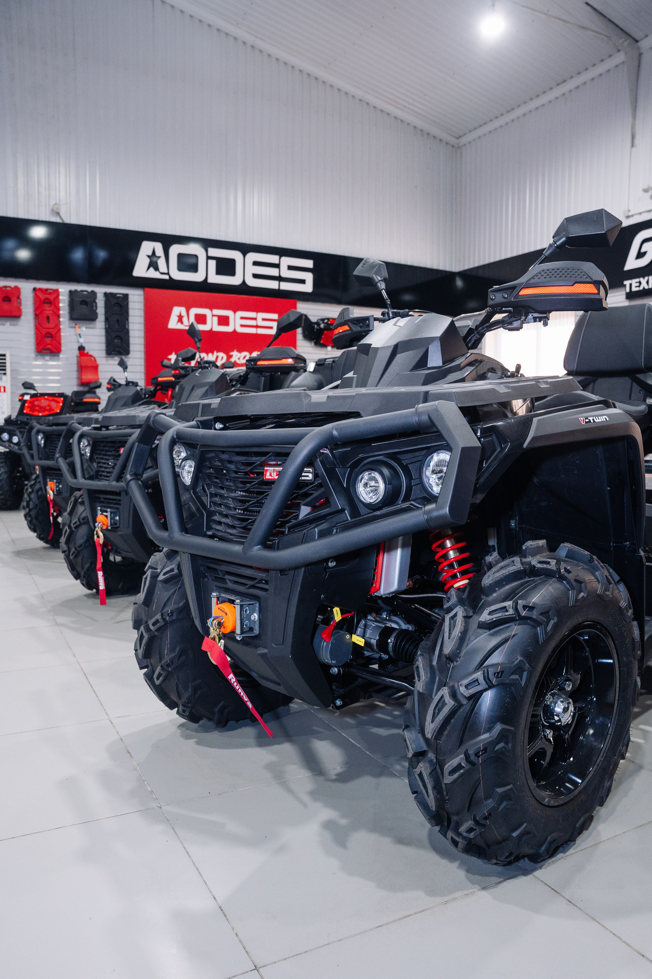 GLADIATOR. Фотограф Хабаровск