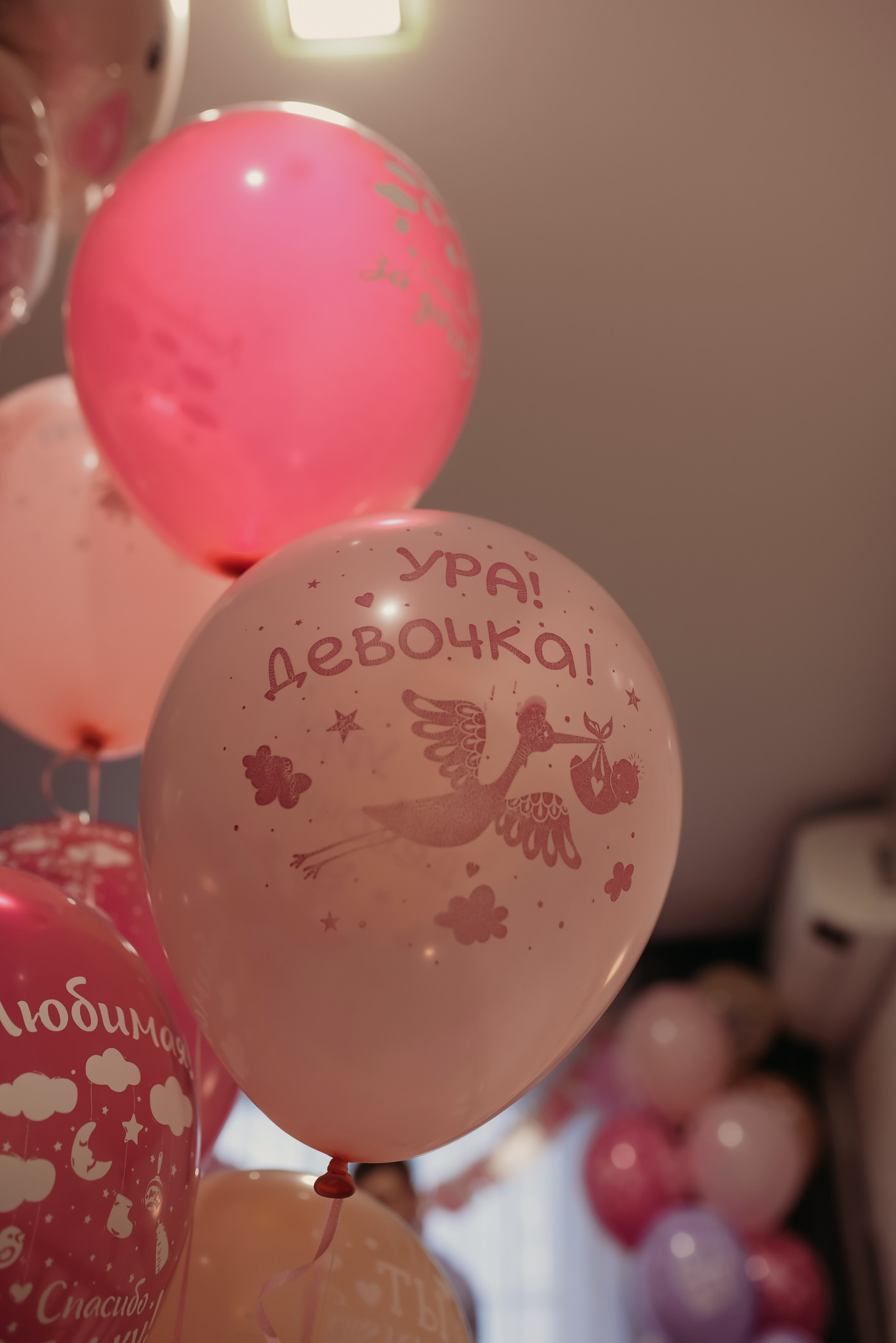 Первая Встреча. Семейный фотограф Олеся Батурина Рязань