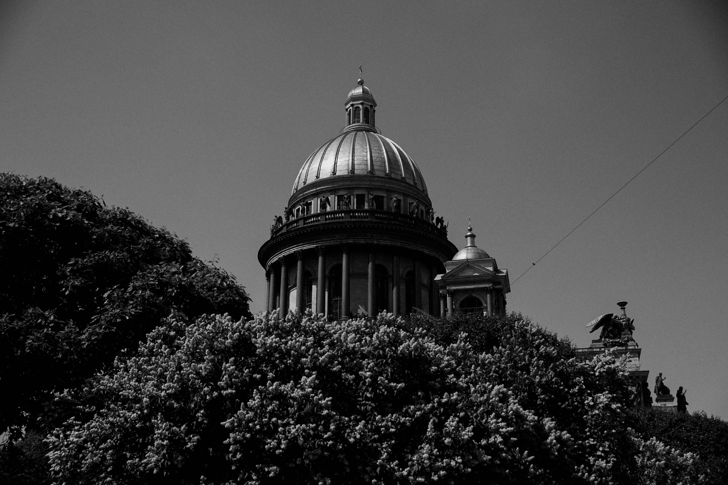 Наталья и Александр. Фотограф в Санкт-Петербурге Ангелина Волкова