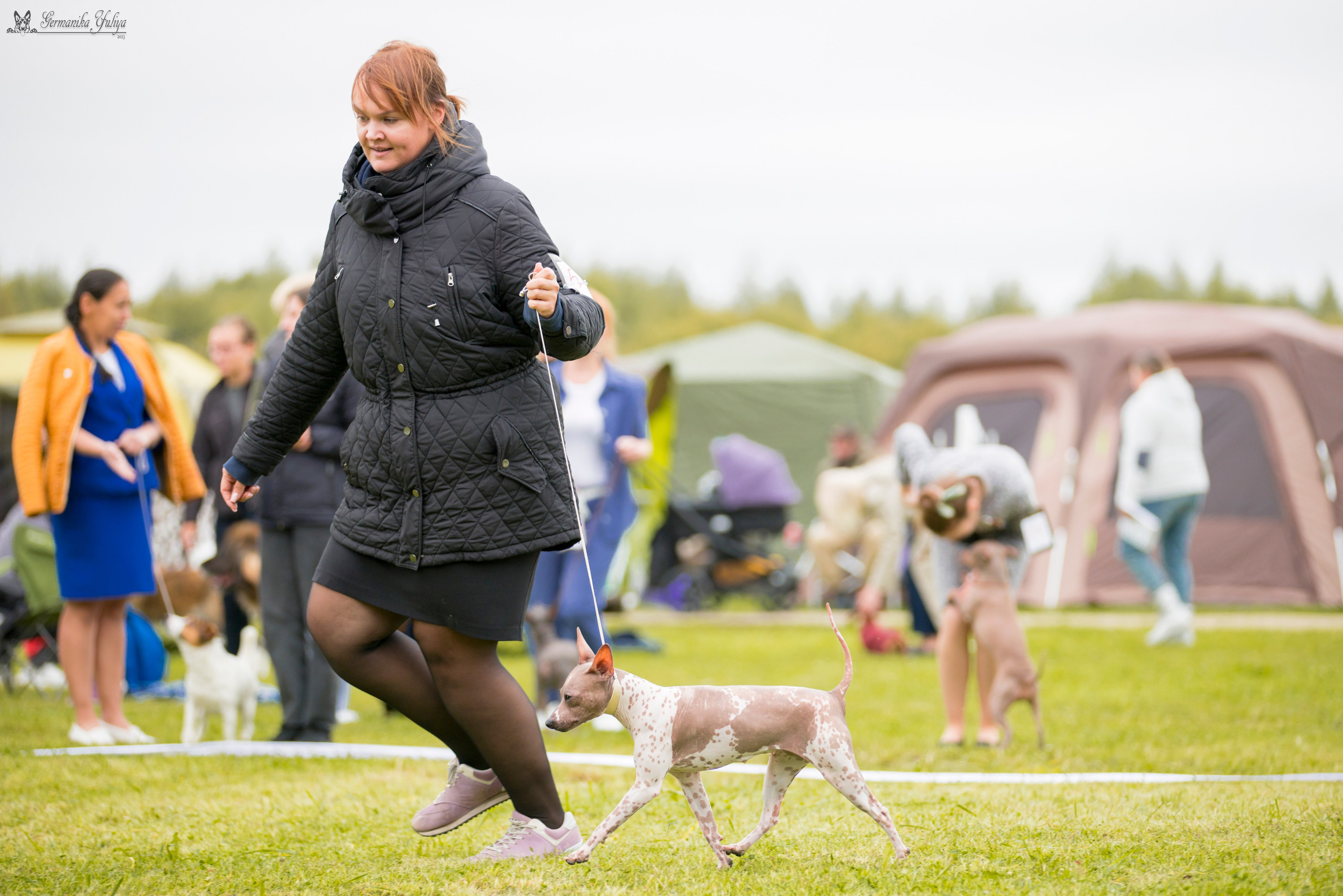 Переславль 9-10.09.2023. Фотограф-анималист Юлия Германика