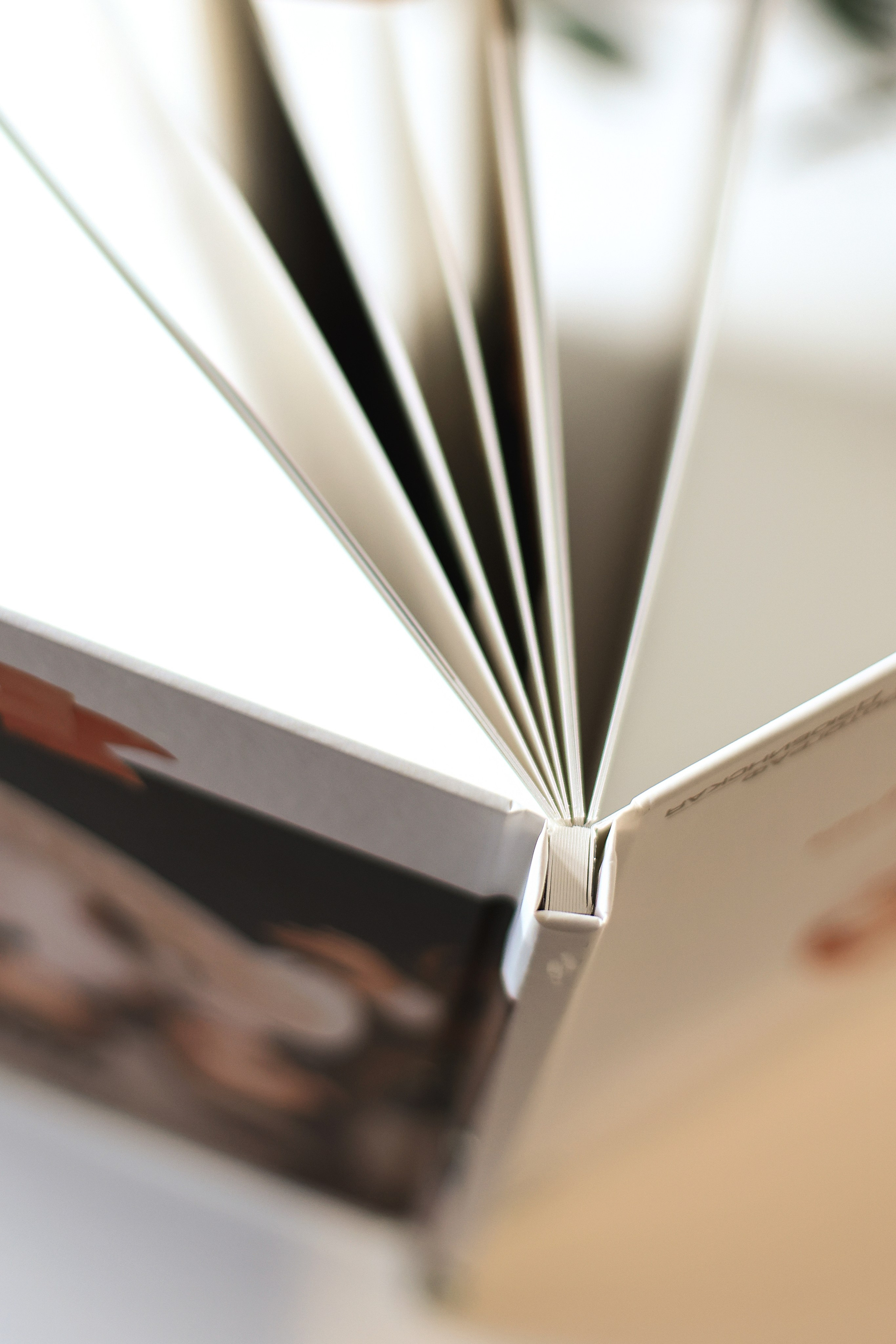 Книги Фотодом. Семейный фотограф Дарья Дзюбинская Раевская Анапа Новороссийск