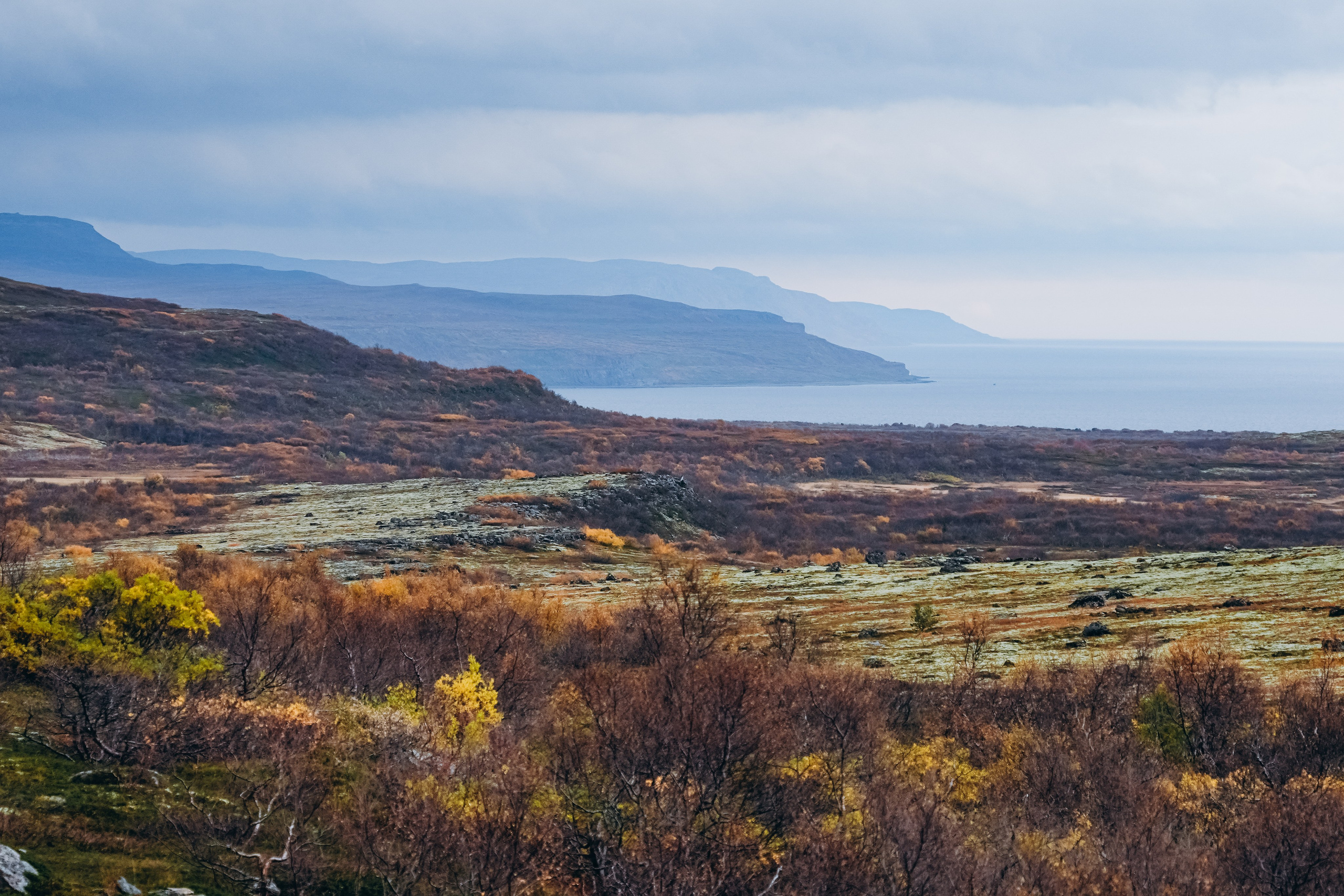 СЕВЕР. Event фотограф Степанова Александра