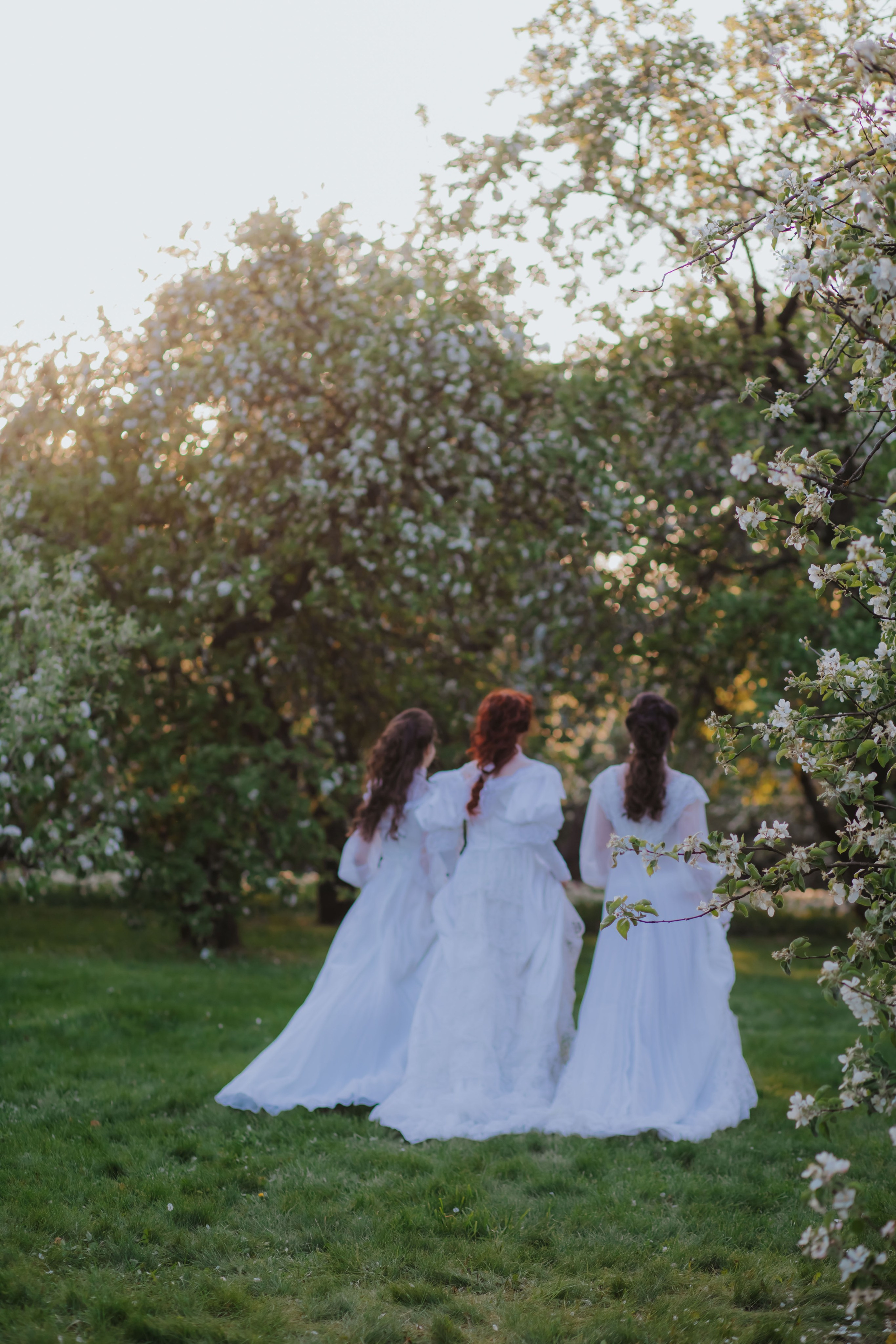 Яблоневый сад. Художественная винтажная фотография