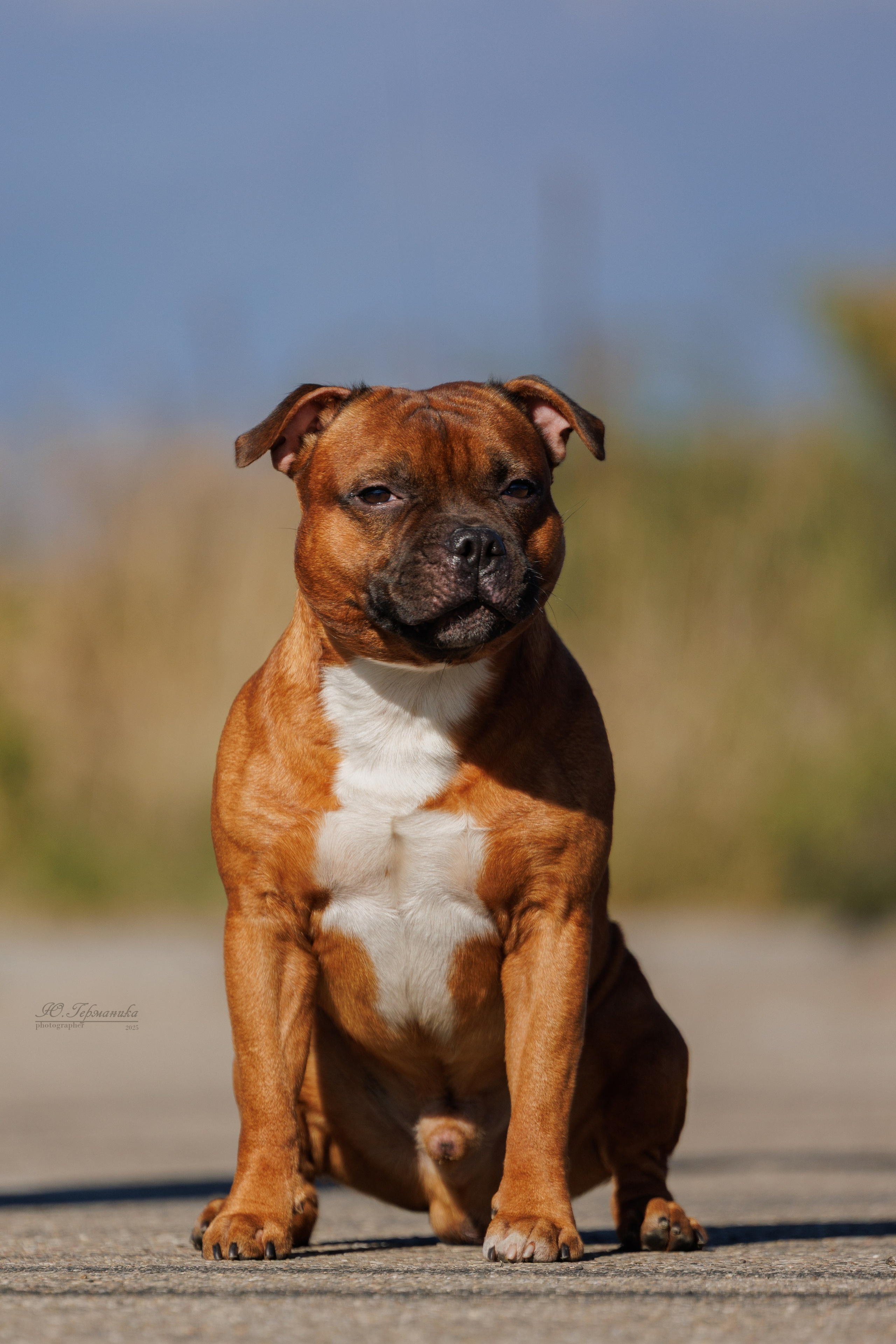 Телави 11-12.10.2025. Фотограф-анималист Юлия Германика