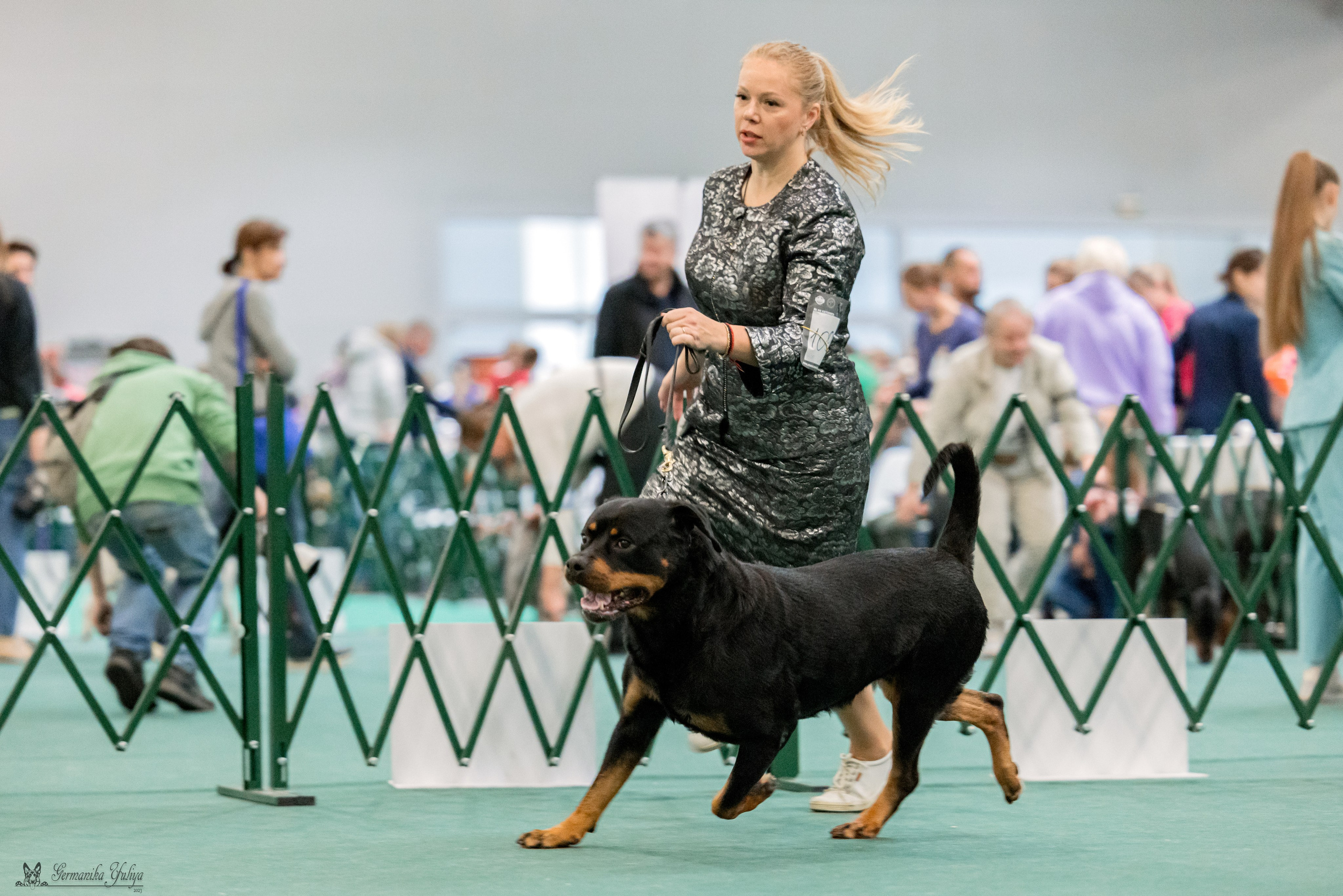 Сфера 29.10,Крокус 4.11,Сфера 12.11.2023. Фотограф-анималист Юлия Германика