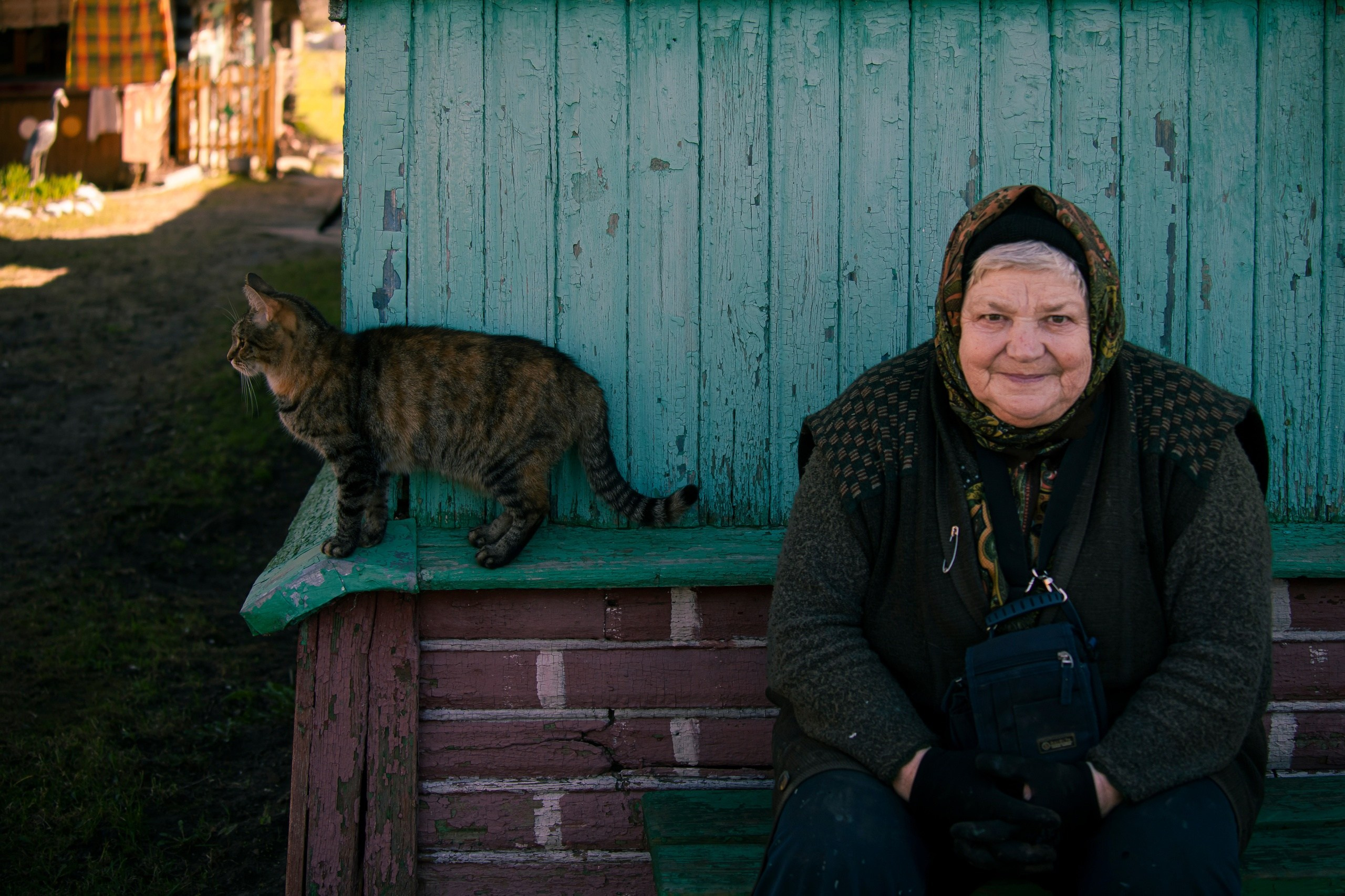 Цветные фотографии. Фотографии Лены Соколовой
