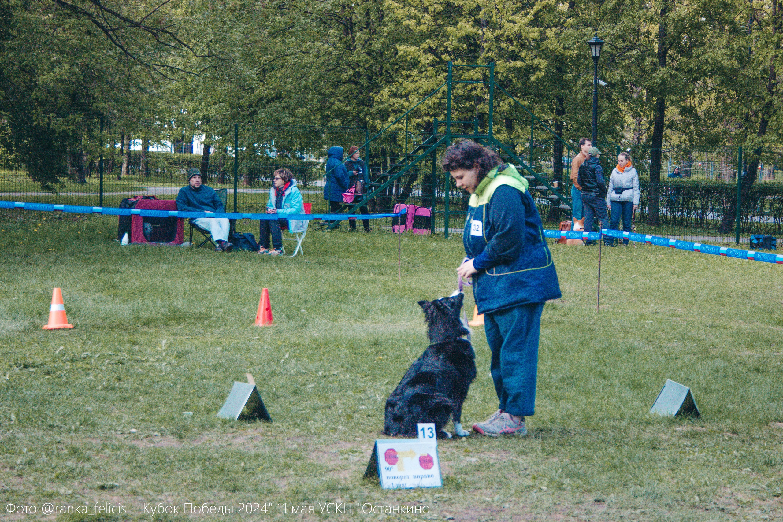 Хава. BLGKV питомник собак