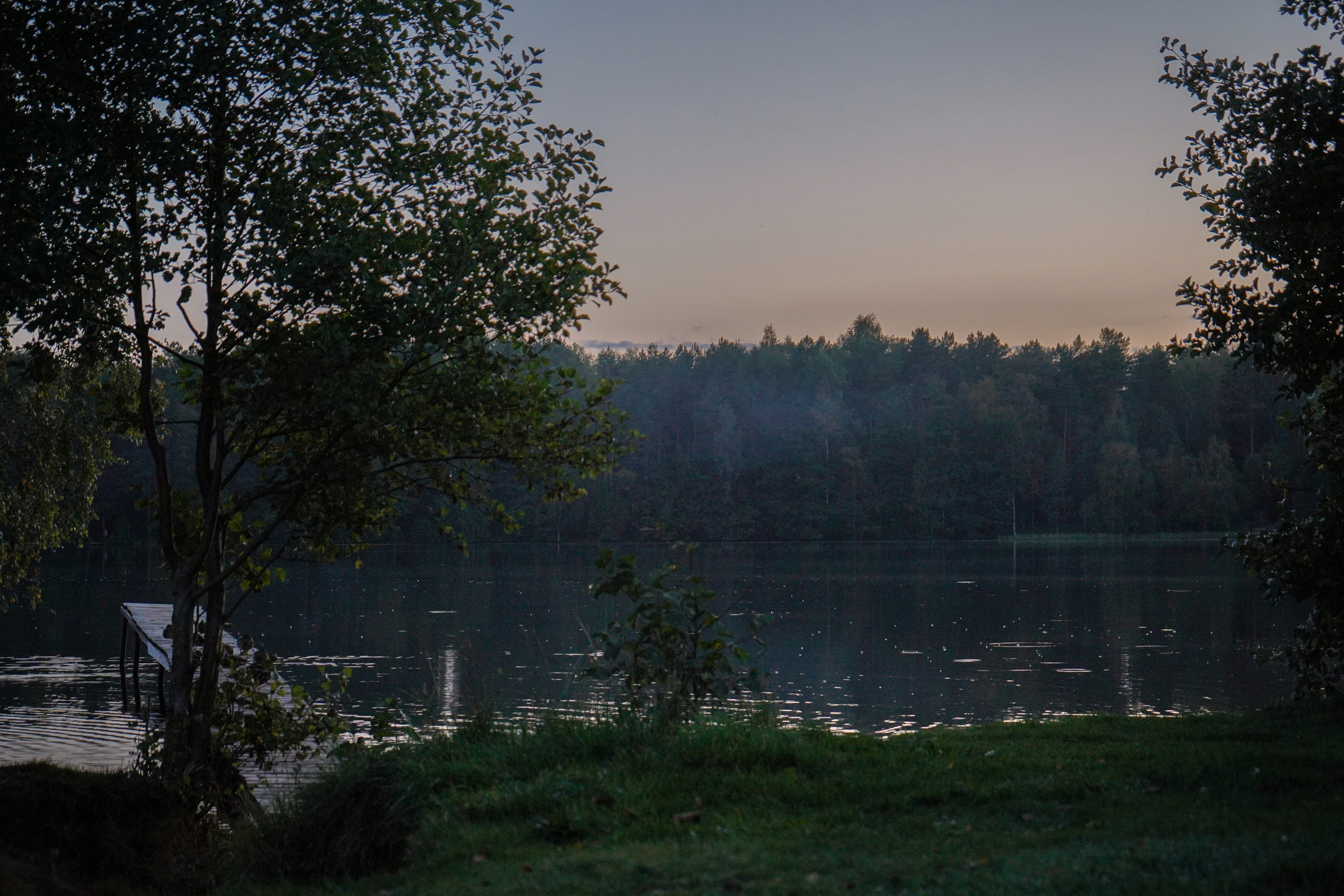 Разное. Фотограф в Санкт-Петербурге Виктория Барышникова