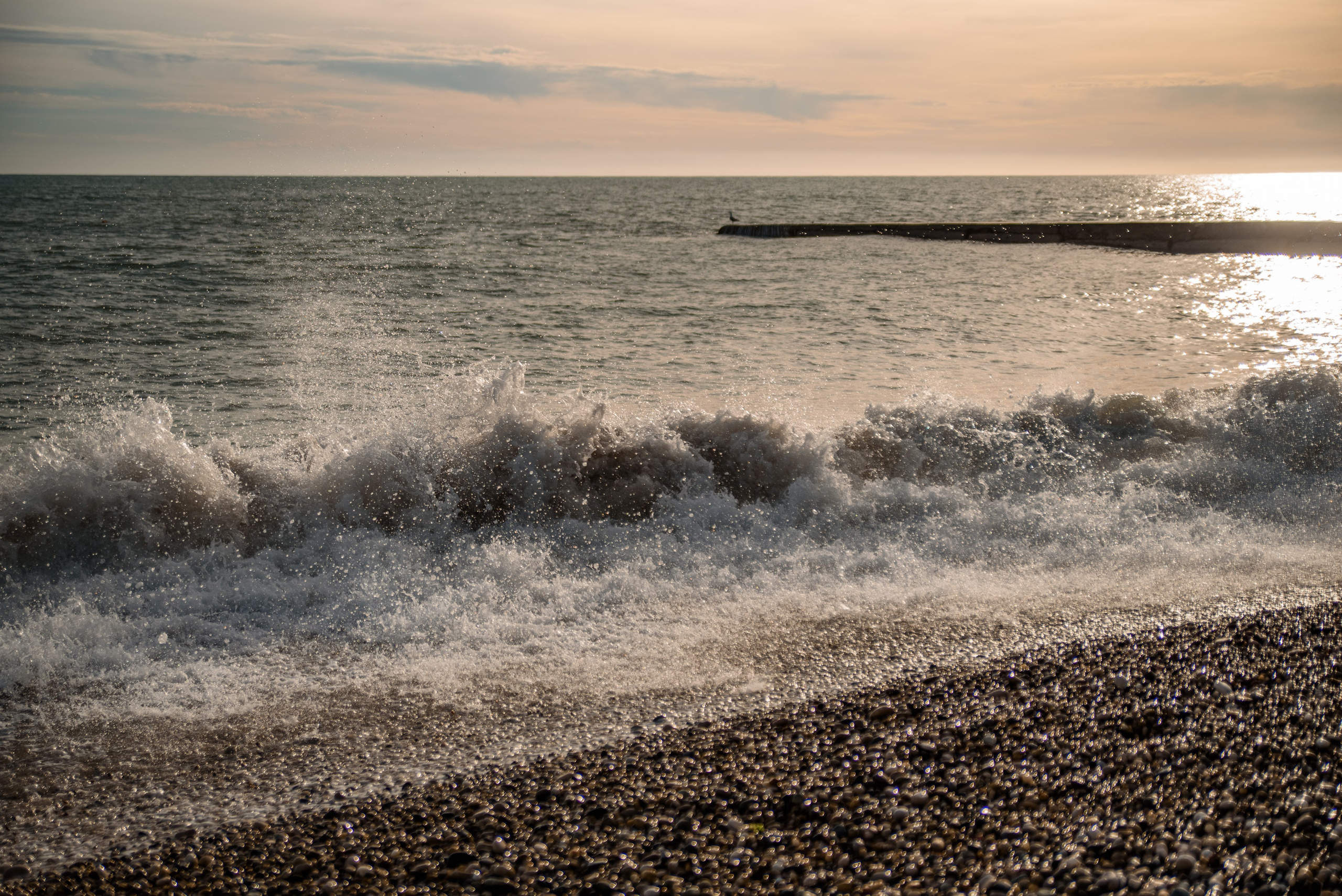 Goblincore, природа, фэнтези, нечисть, лес, гоблинкор, эльфы, фотосессии, костюмированные