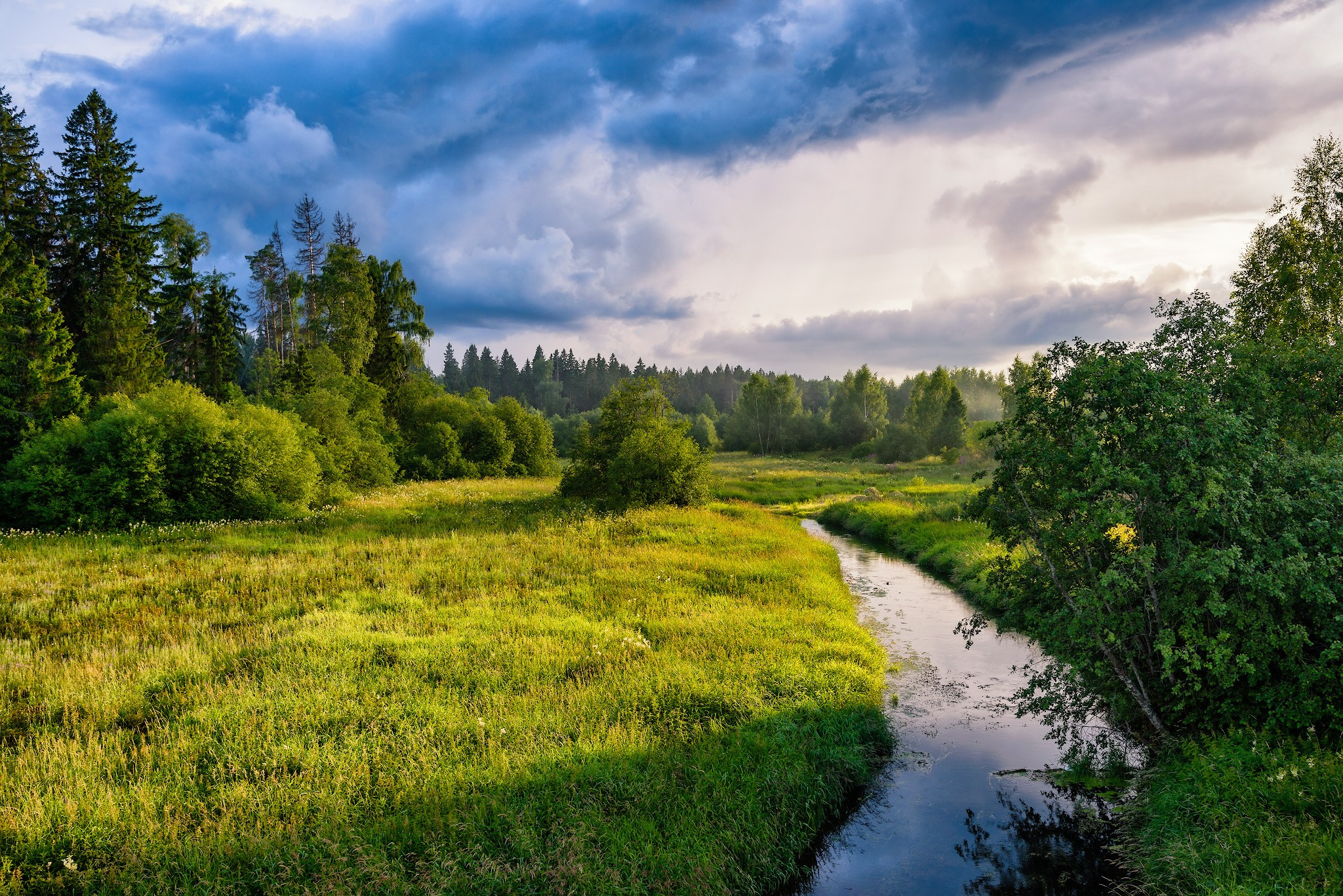 Верховья Клязьмы летним солнечным вечером.